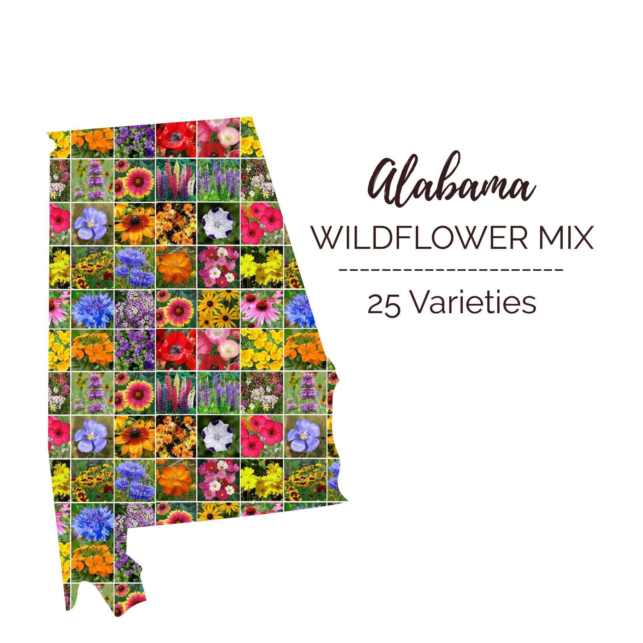 native alabama wildflower seeds Bulk Alabama Wildflower Seed Mix 1/4 Pound