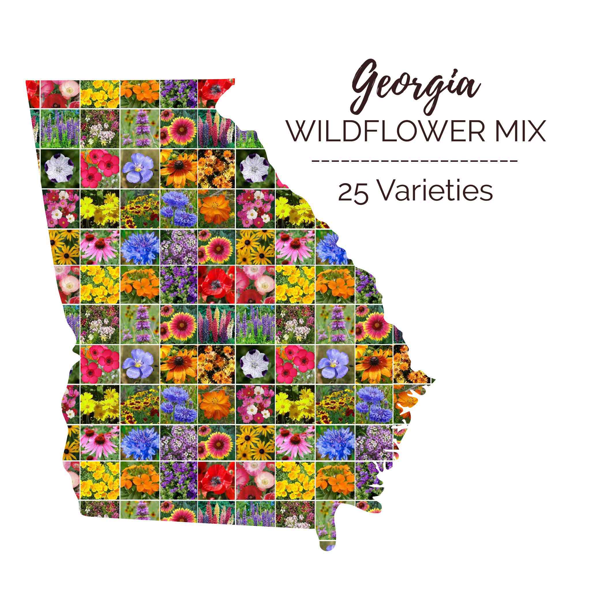 native georgia wildflower seeds Bulk Georgia Wildflower Seed Mix 1 Ounce