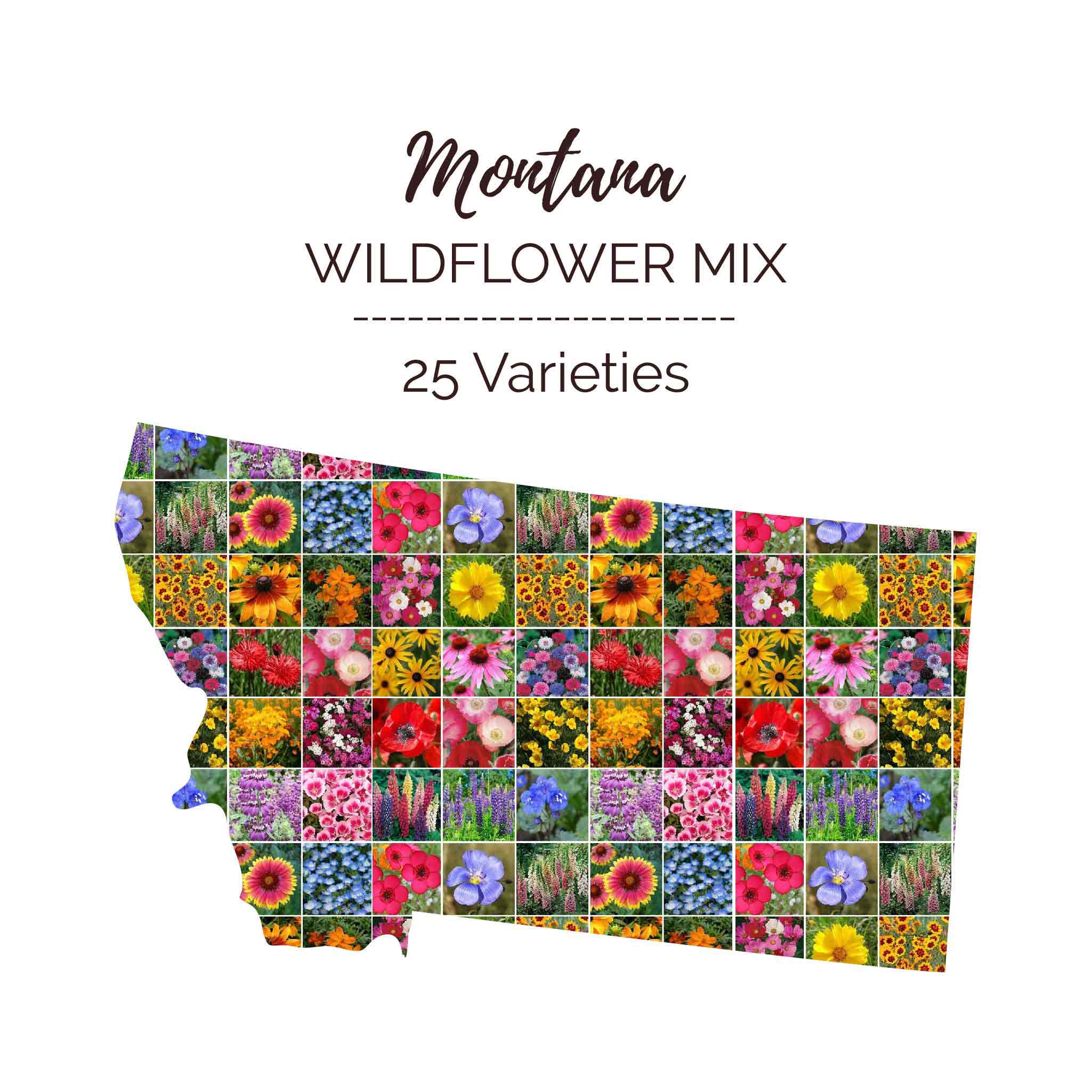 montana wildflower seed mix Montana Wildflower Seed Mix