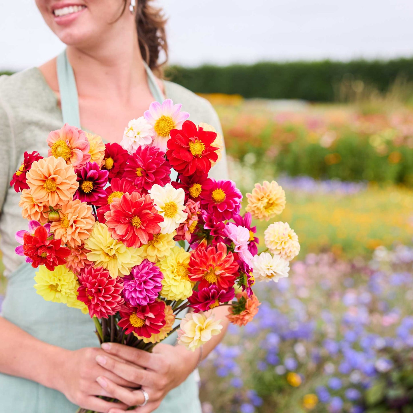 Person holding a bouquet of dahlia pompon double flowered mix flowers in a garden setting