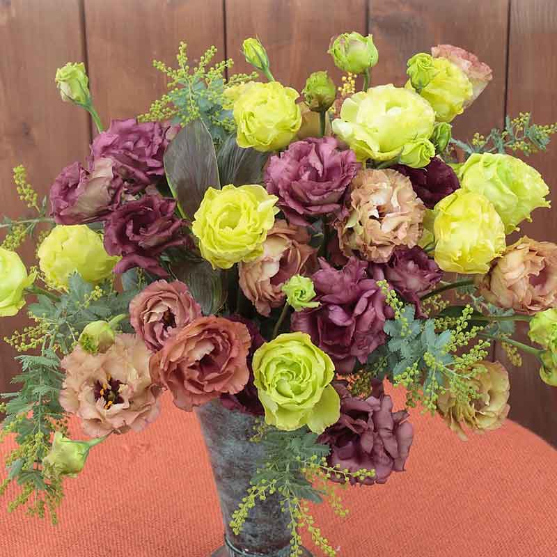 flower seeds lisianthus seeds Bulk Lisianthus Seeds