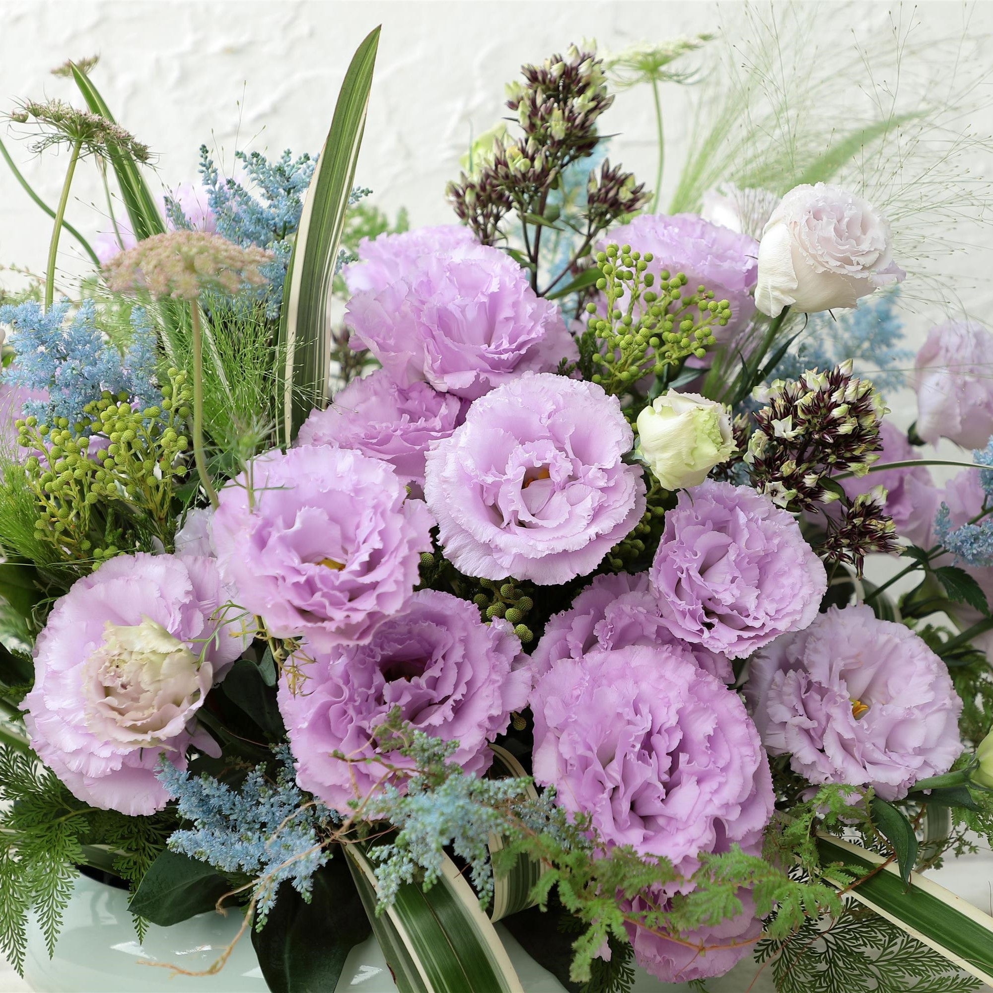 lavender seed packets bulk Bulk Lisianthus Seeds