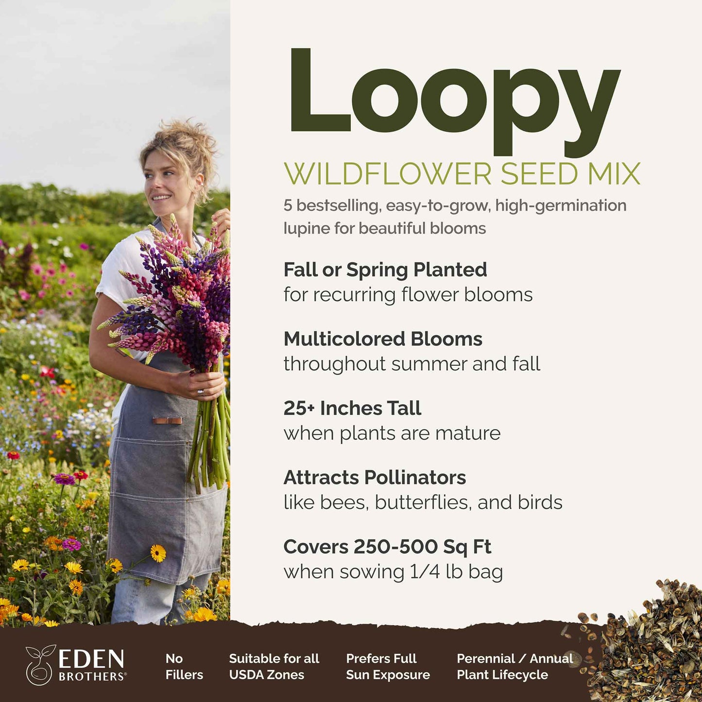 loopy overview