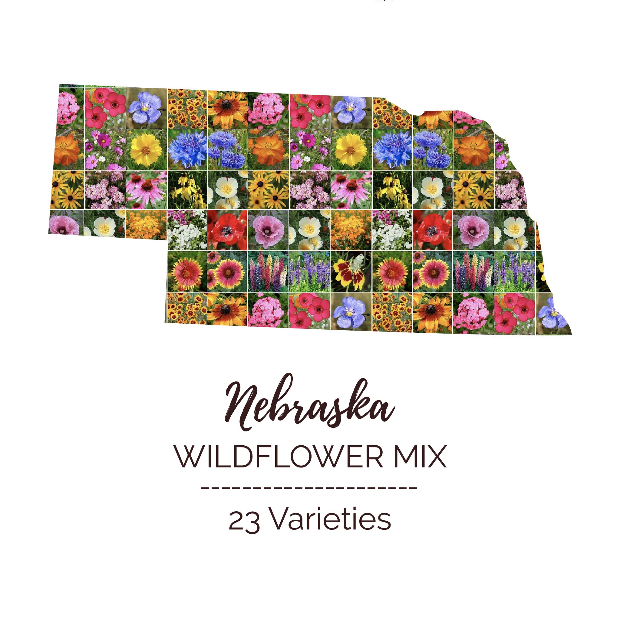 nebraska wildflower seed mix Nebraska Wildflower Seed Mix