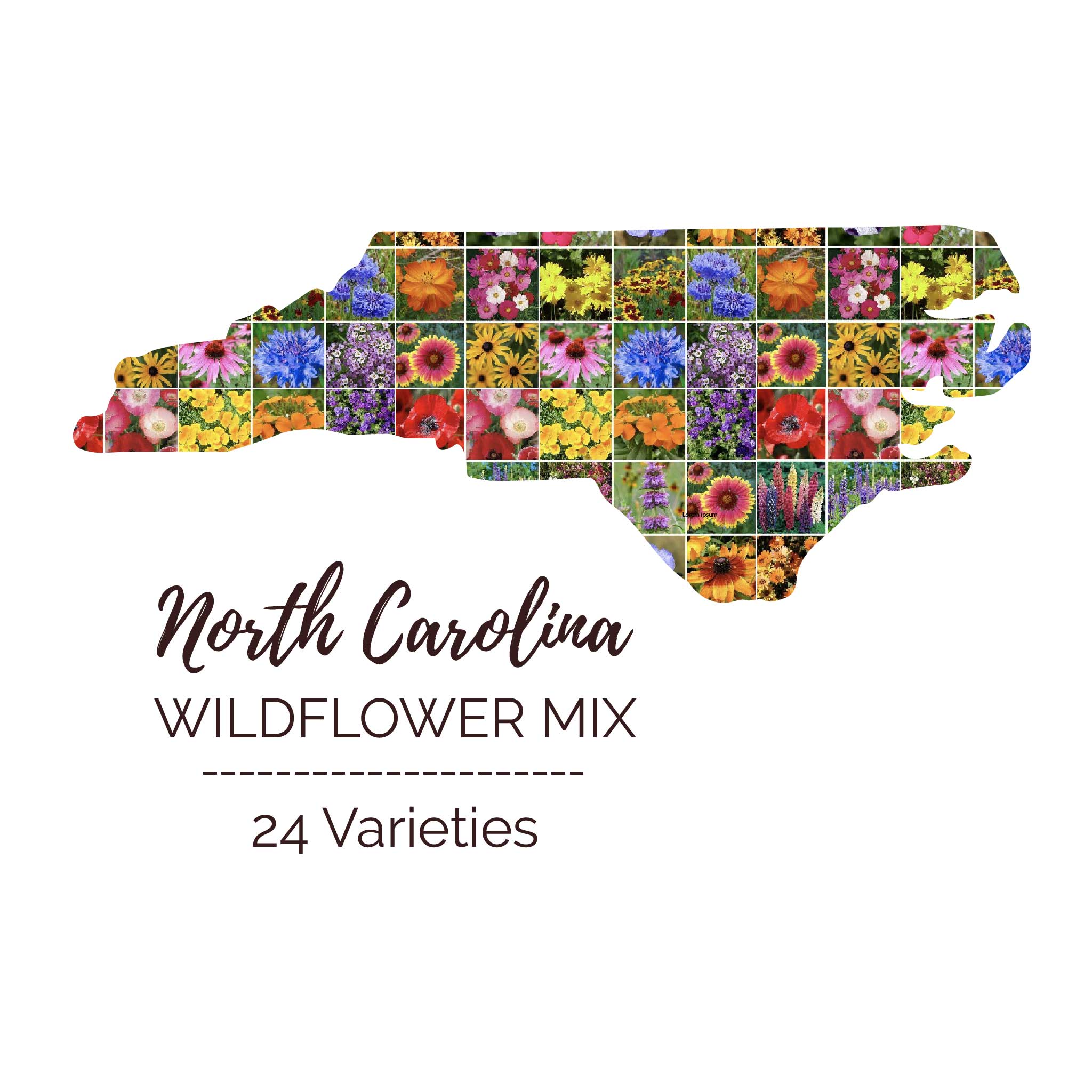nc wildflower seeds free Bulk North Carolina Wildflower Seed Mix 1 Pound