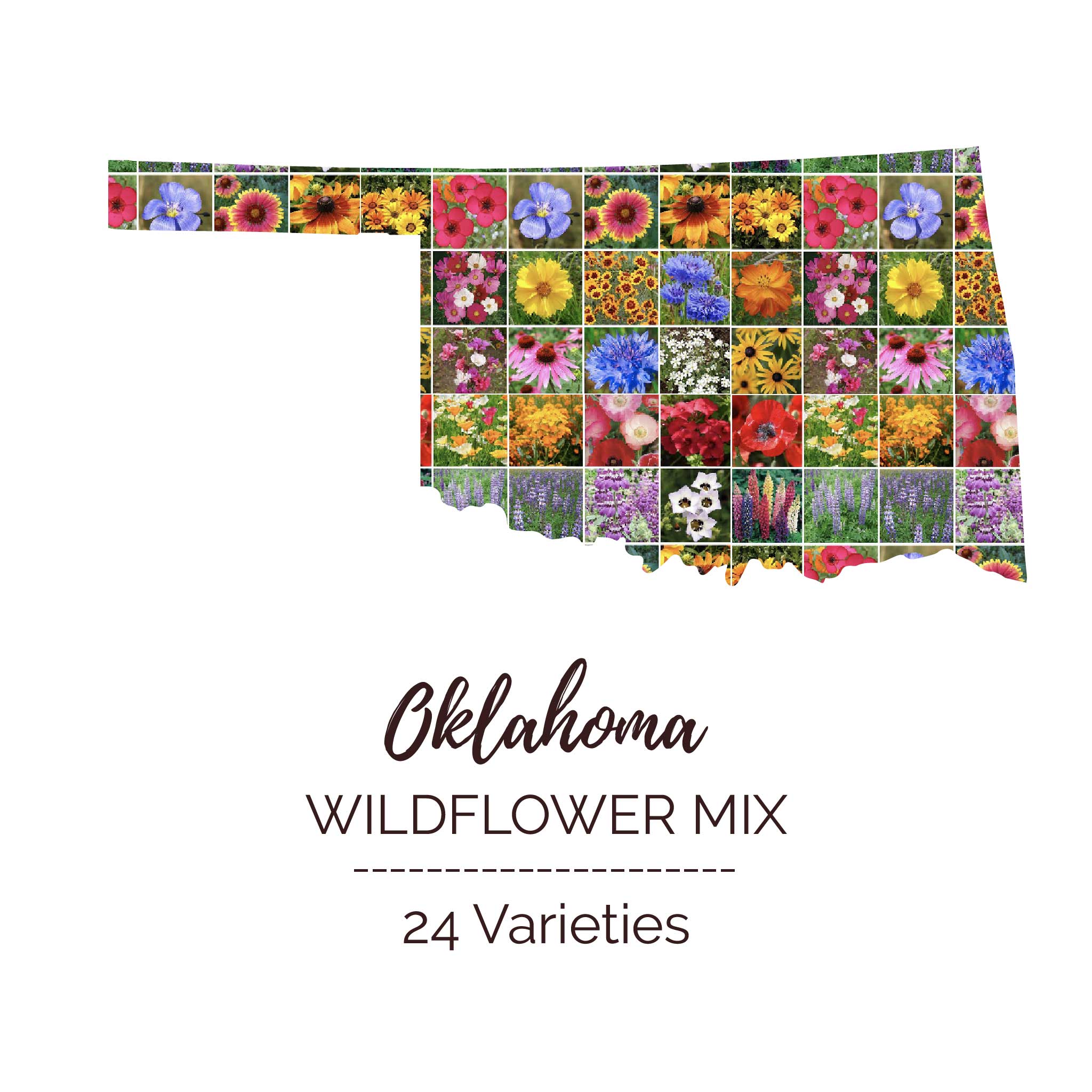 auto flower seeds oklahoma Bulk Oklahoma Wildflower Seed Mix