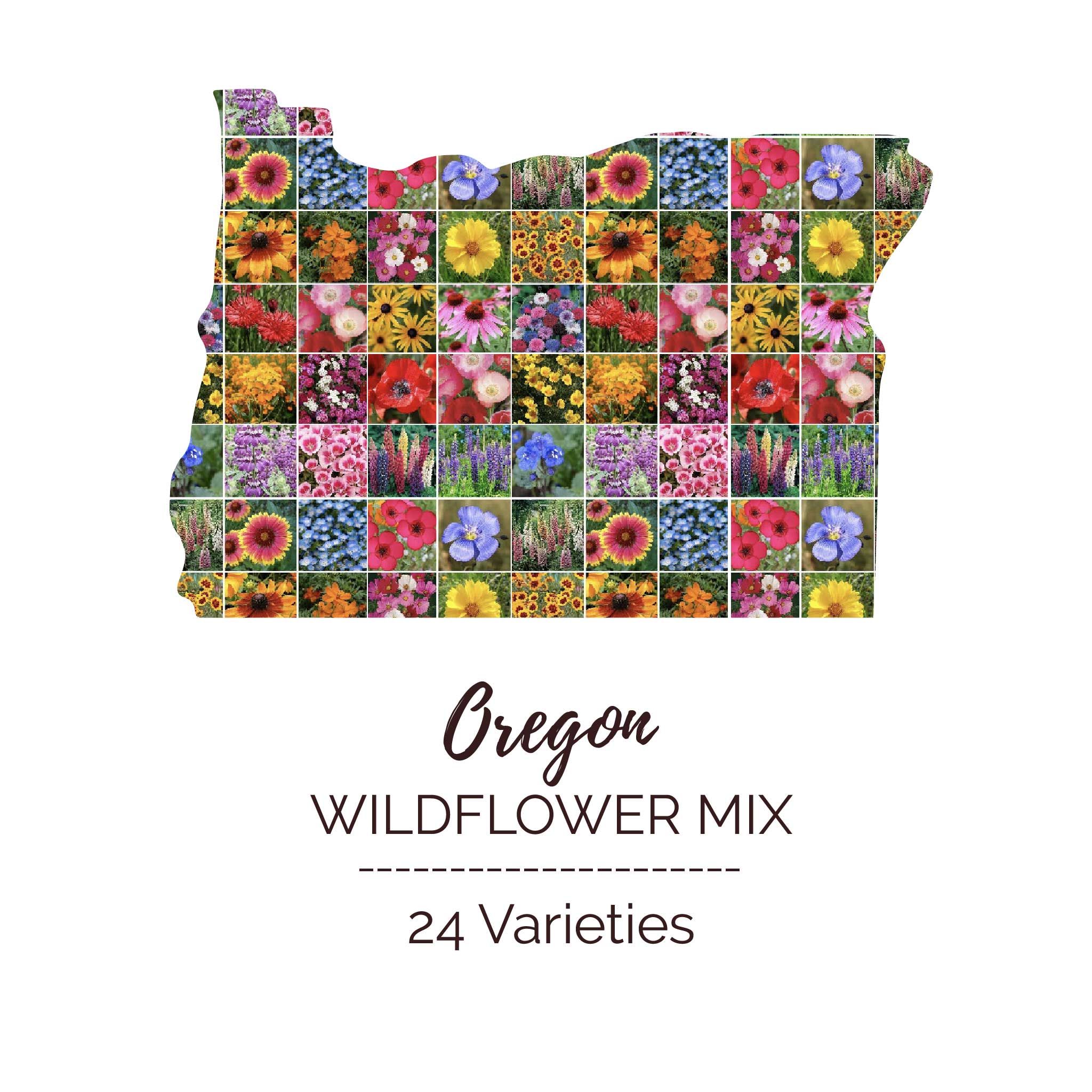 native oregon wildflower seeds Bulk Oregon Wildflower Seed Mix