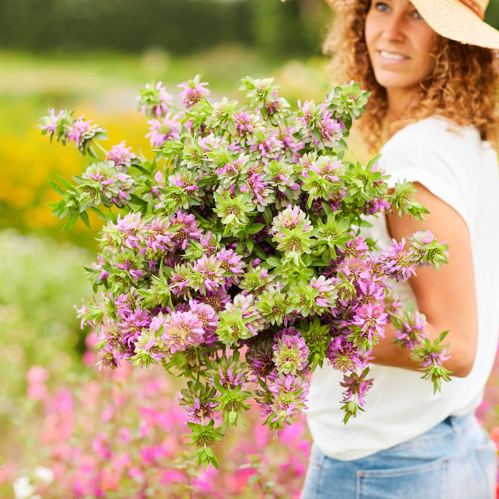 planting lemon mint seeds Bulk Lemon Mint Seeds 1 Pound