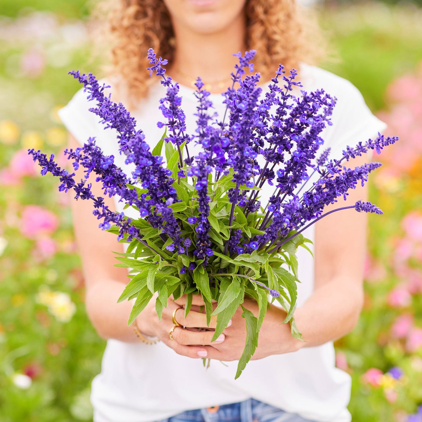 blue sage