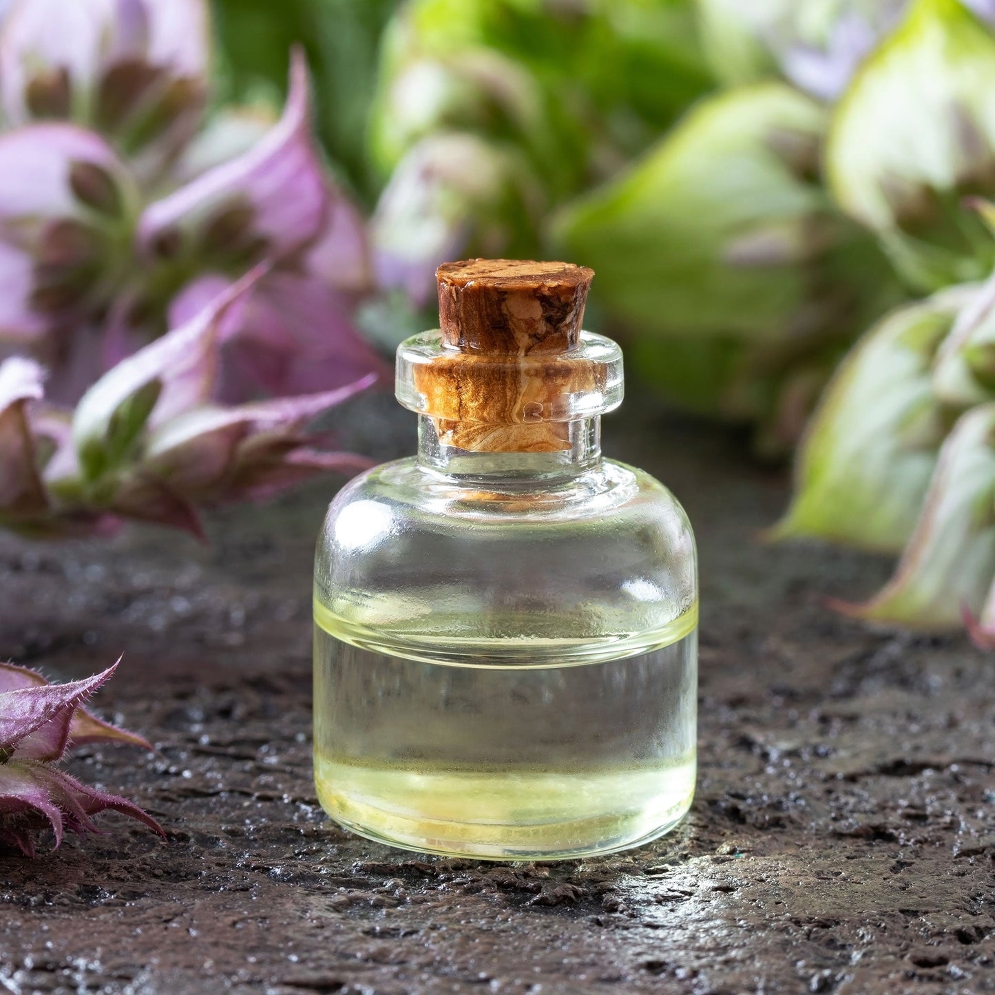 bluish white clary sage
