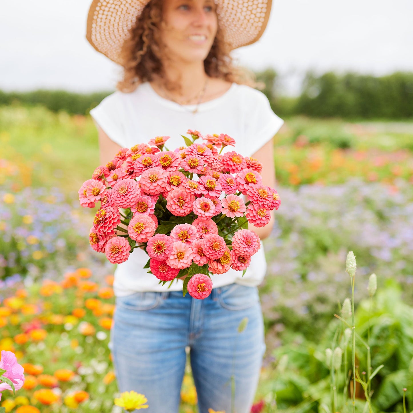 salmon lilliput zinnia 