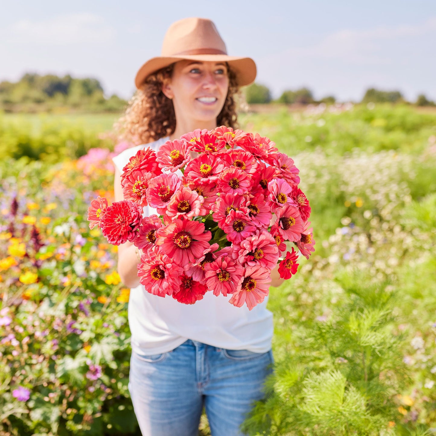 zinnia salmon queen