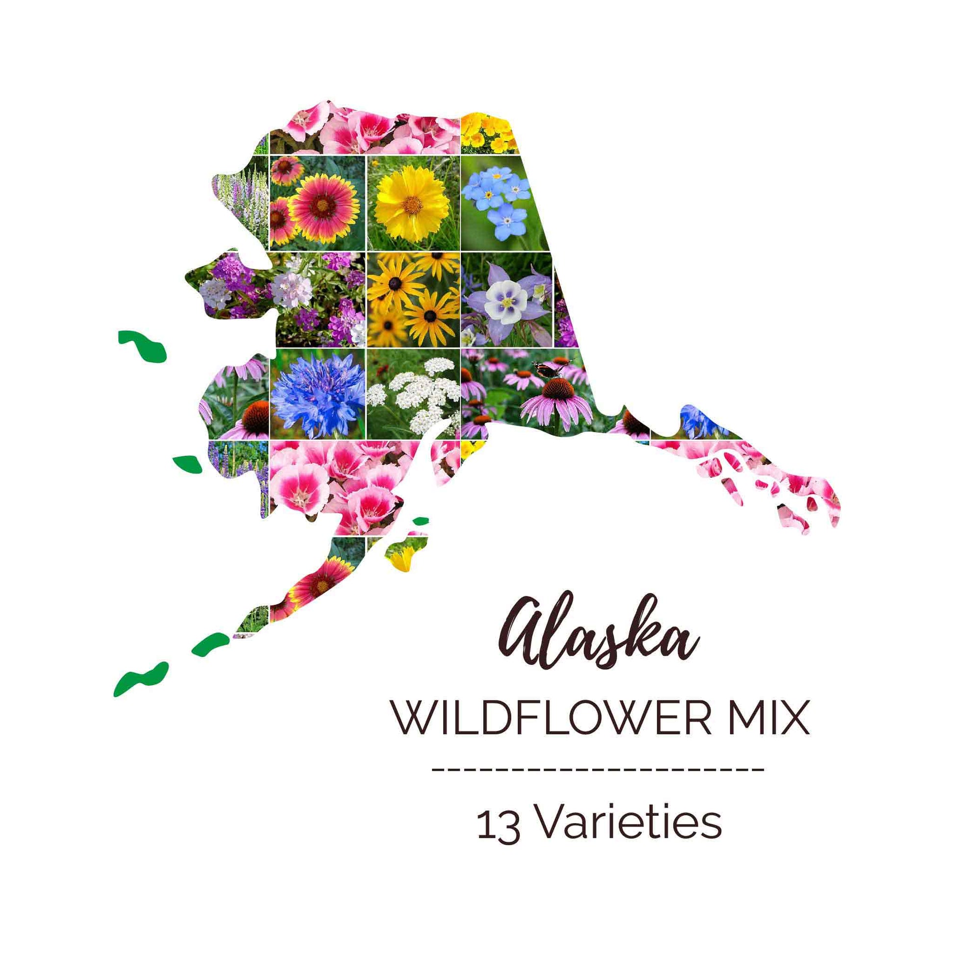 alaskan wildflower seeds Alaska Wildflower Seed Mix