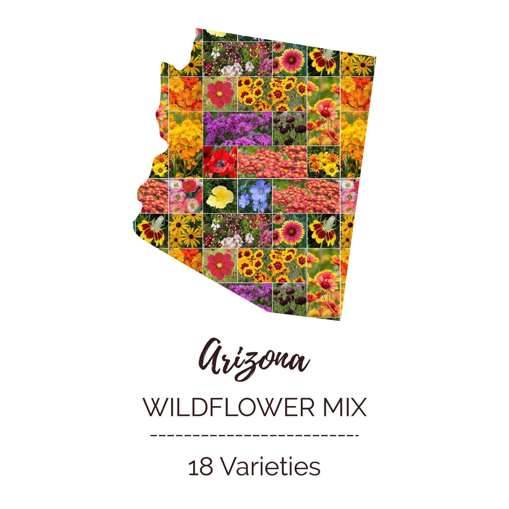 az wildflower seeds Bulk Arizona Wildflower Seed Mix 1/4 Pound