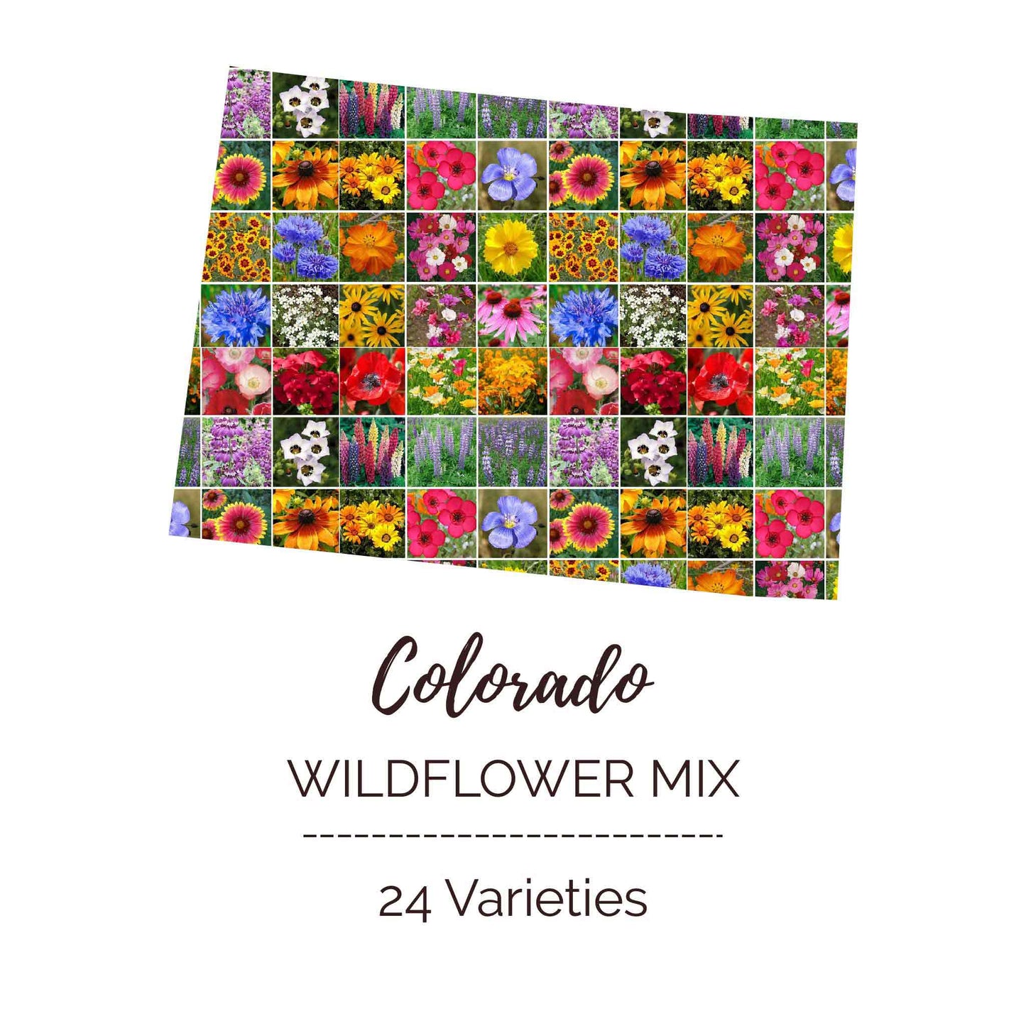 colorado wildflower seed packets Bulk Colorado Wildflower Seed Mix 1 Ounce