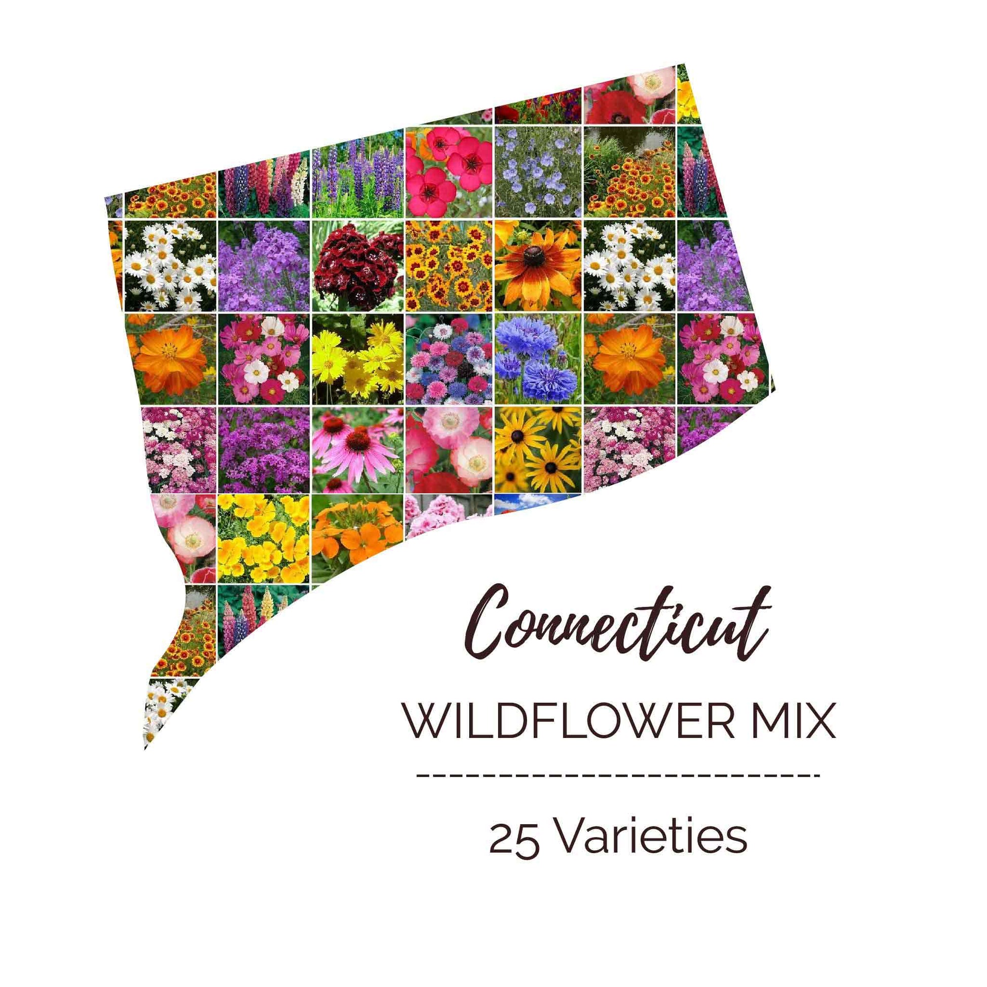 wildflower seeds connecticut Connecticut Wildflower Seed Mix