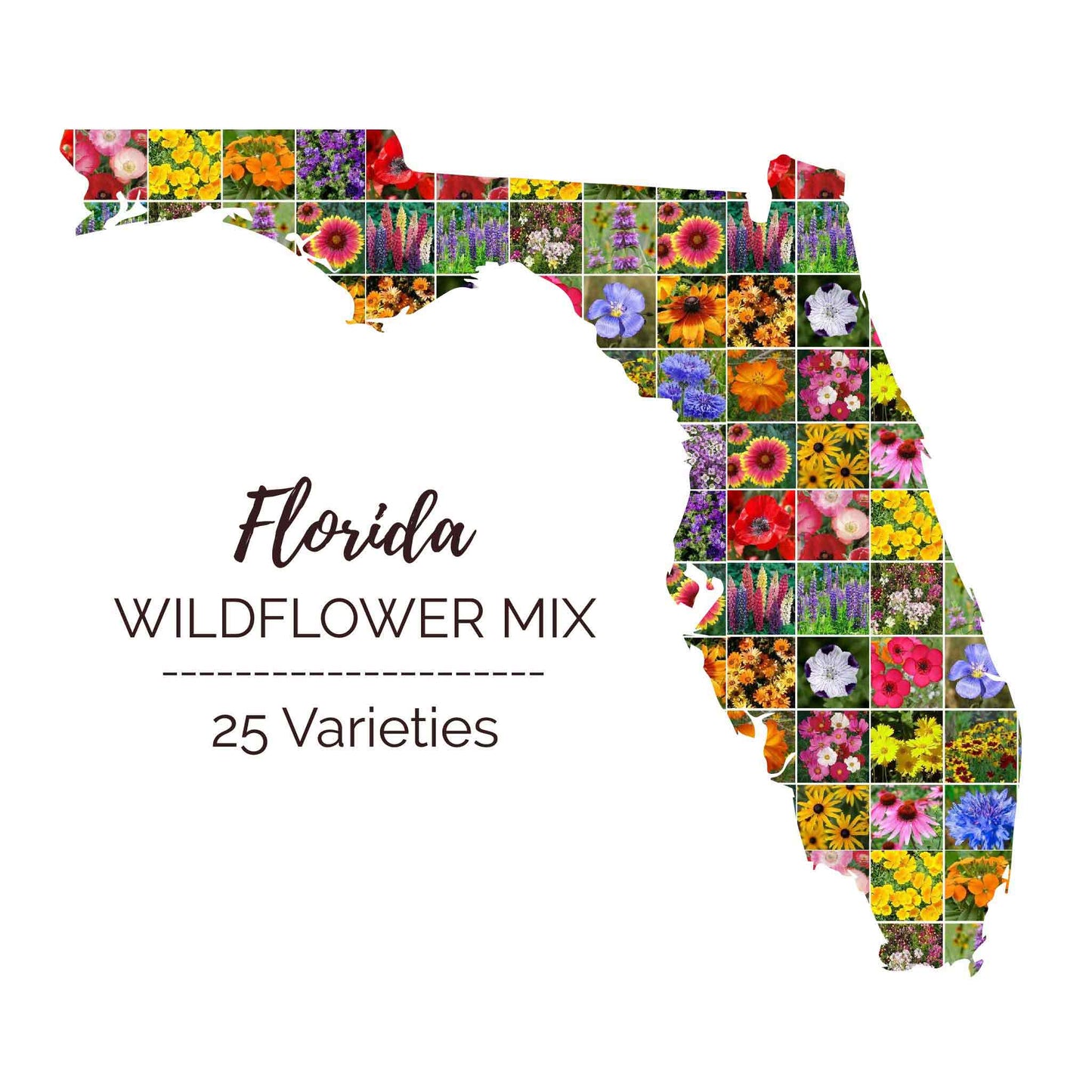 florida native plant seeds for sale Bulk Florida Wildflower Seed Mix