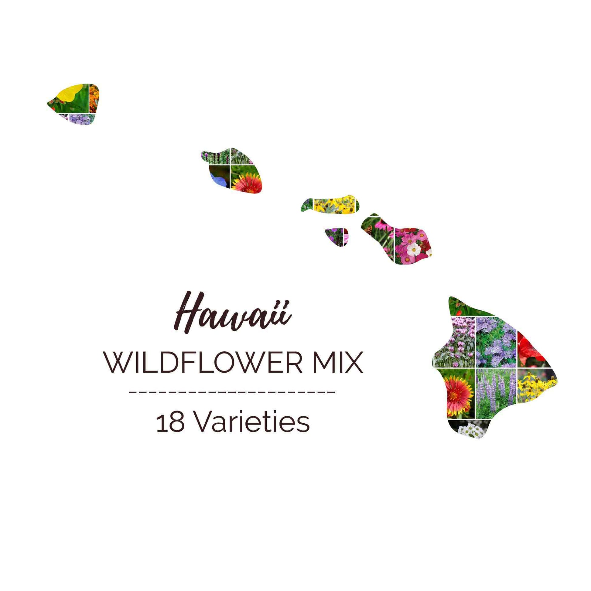 hawaii flower seeds Hawaii Wildflower Seed Mix