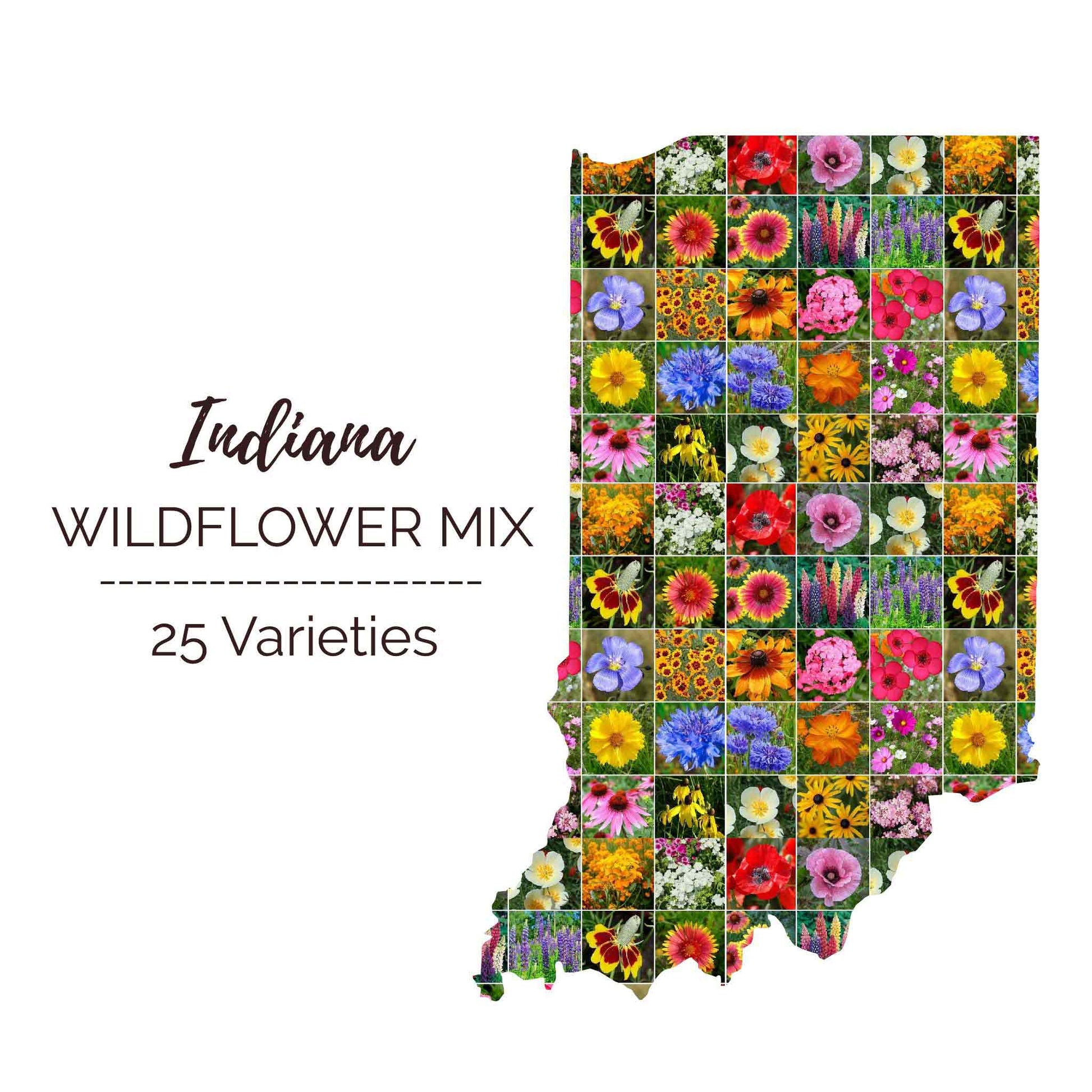 wildflower company seeds Bulk Indiana Wildflower Seed Mix