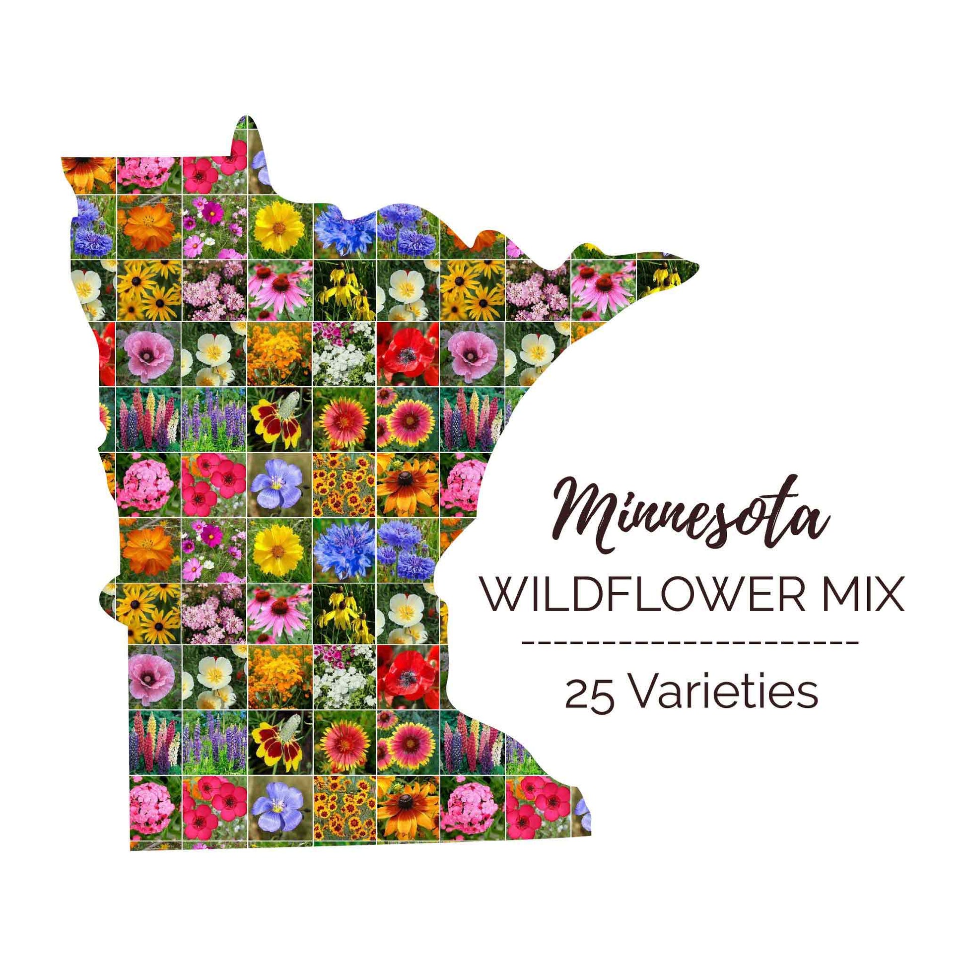 minnesota native flower seeds Minnesota Wildflower Seed Mix