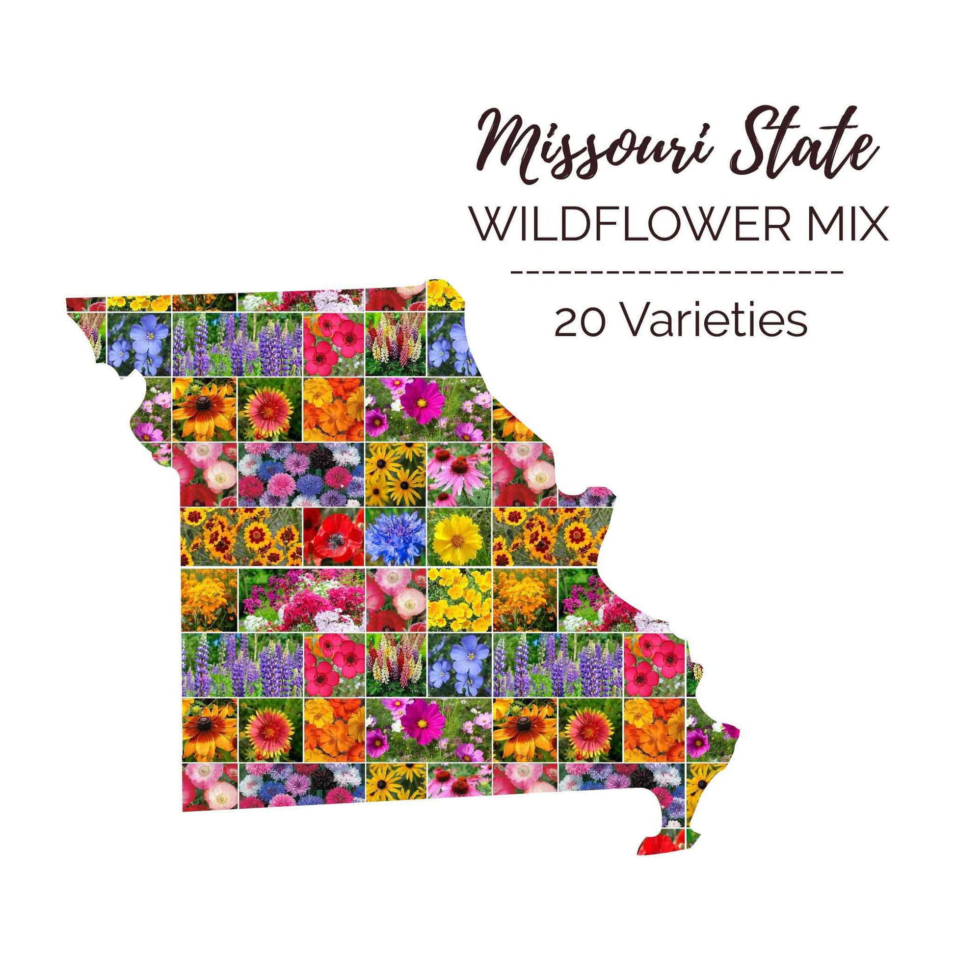 mo wildflower seeds Missouri Wildflower Seed Mix