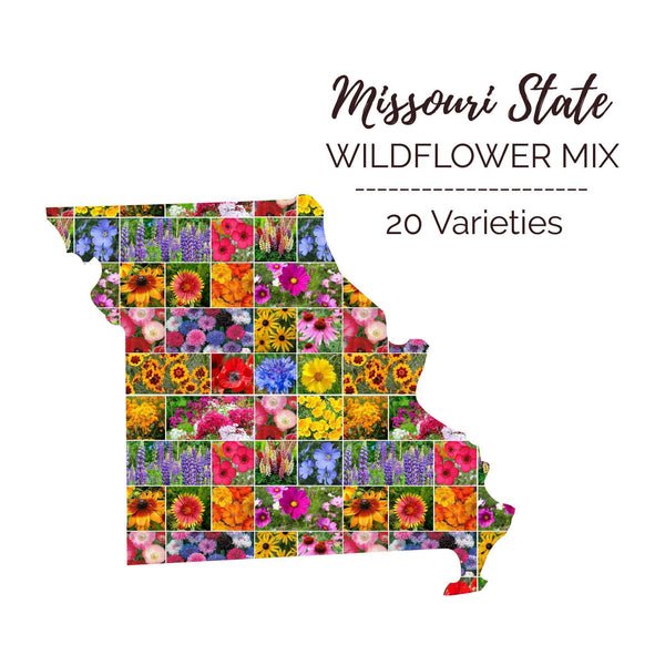 missouri native wildflower seed mix Missouri Wildflower Seed Mix