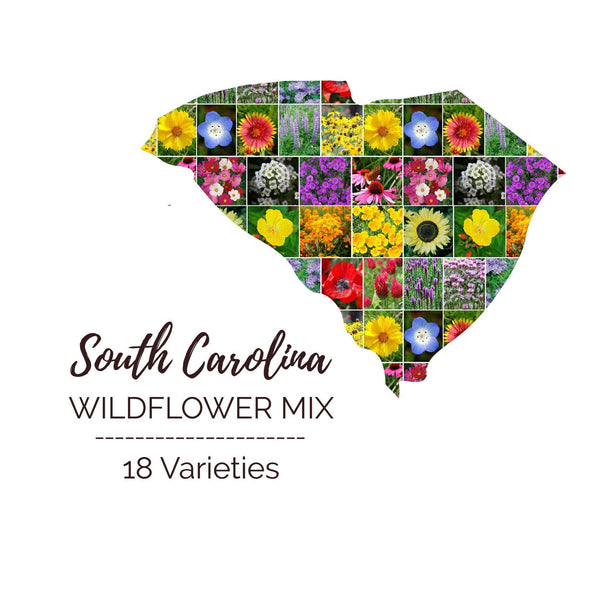 native wildflower seeds south carolina Bulk South Carolina Wildflower Seed Mix 1/4 Pound