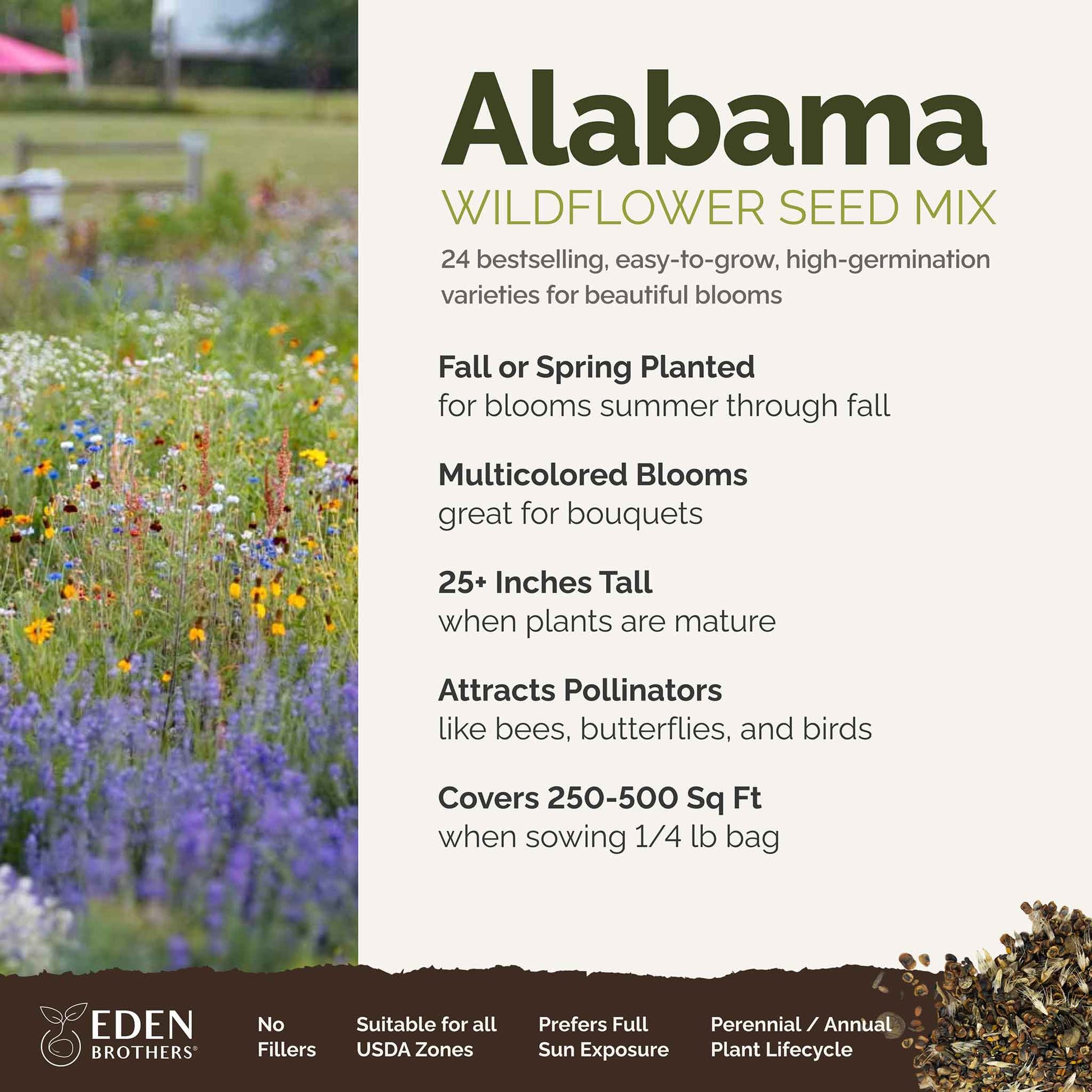 alabama wildflower seeds Bulk Alabama Wildflower Seed Mix 1/4 Pound