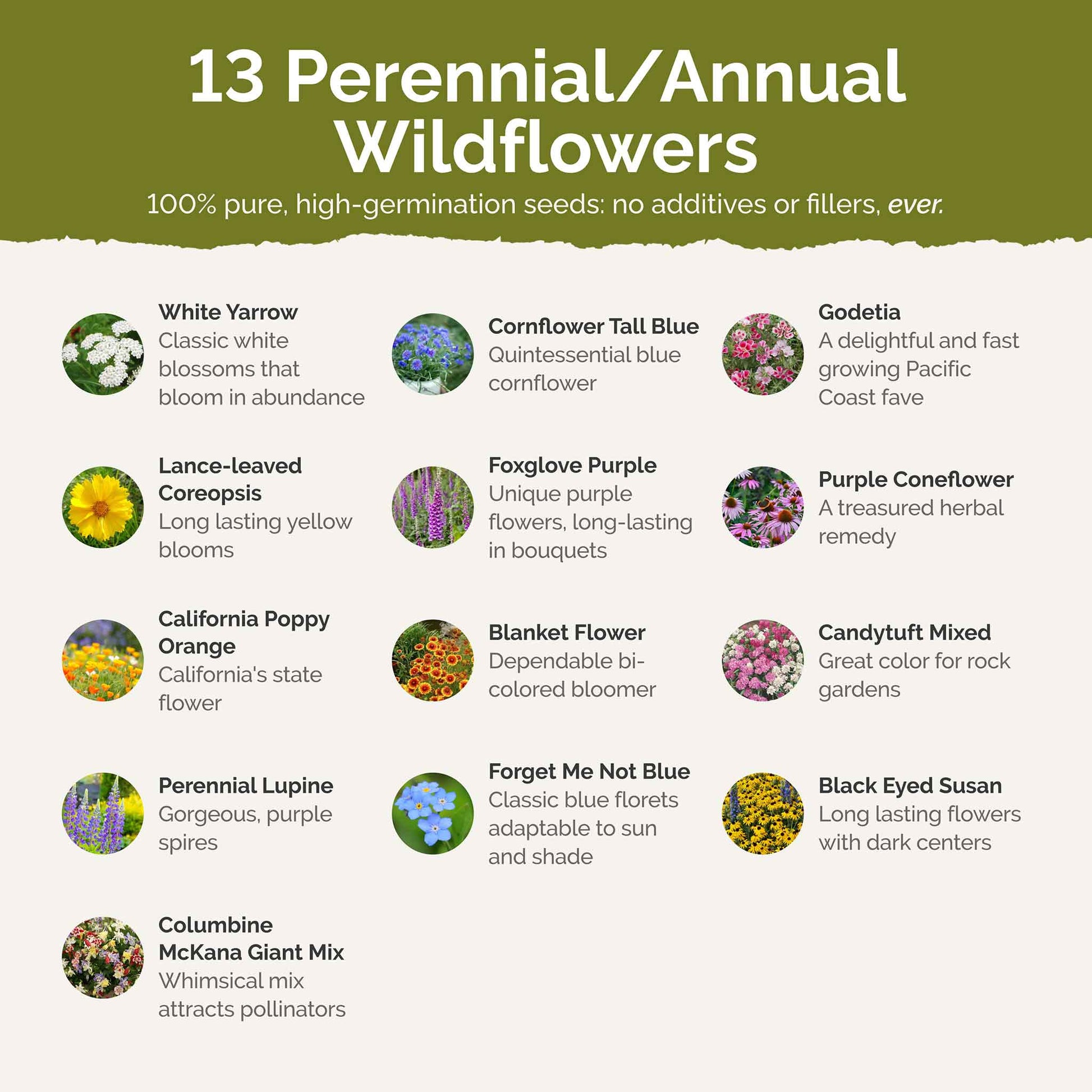 alaska wildflower seeds Alaska Wildflower Seed Mix