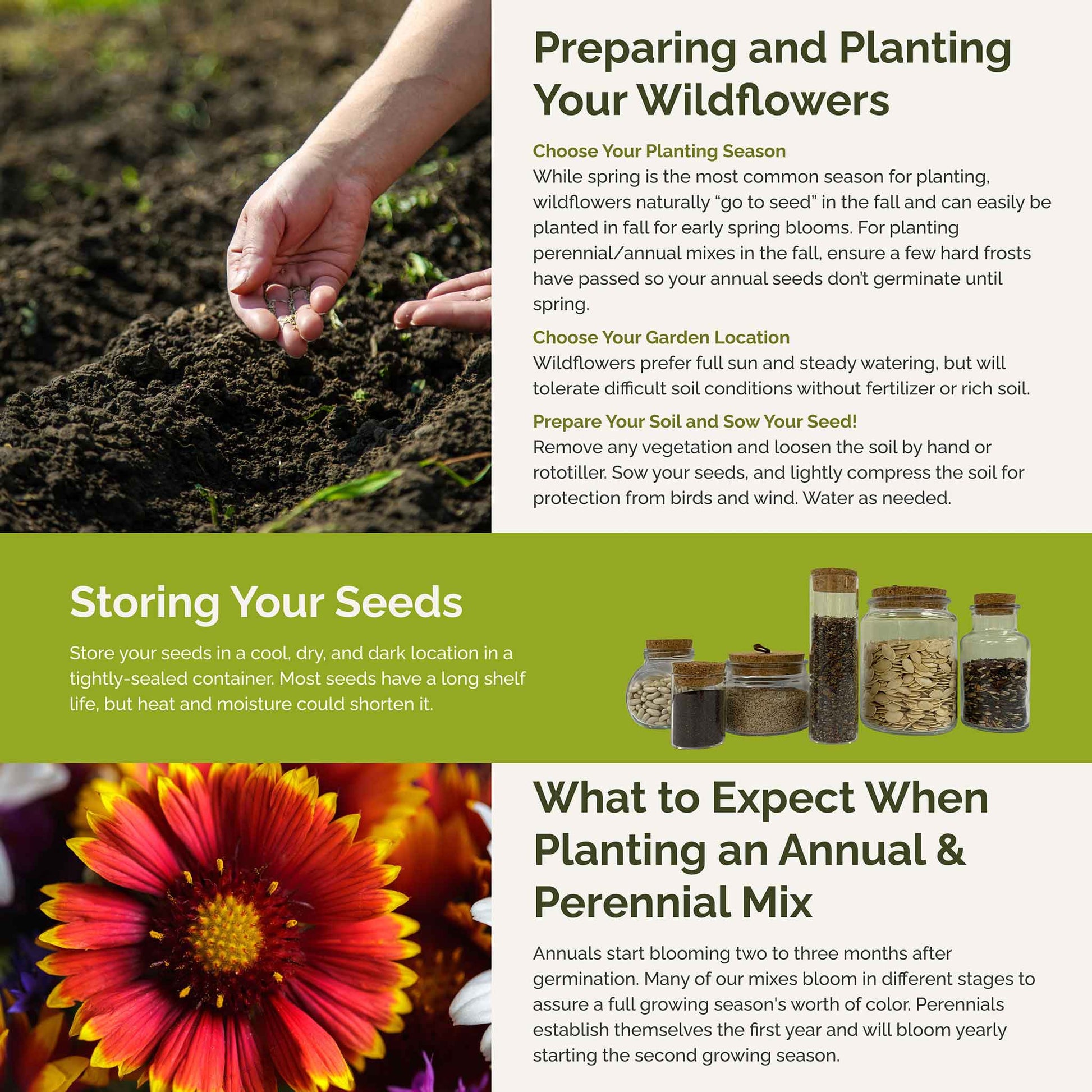 alaskan wildflower seeds Alaska Wildflower Seed Mix