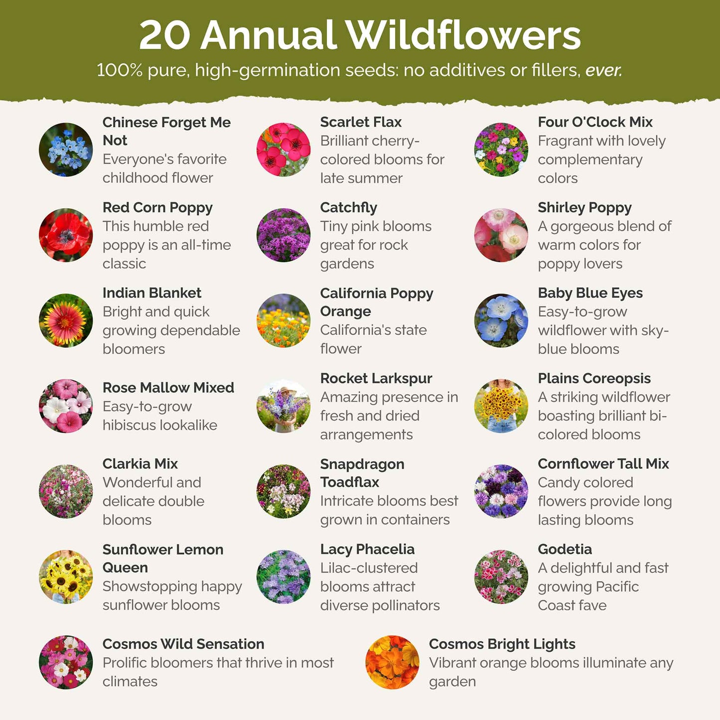 all annual wildflower seed mix Bulk All Annual Wildflower Seed Mix 10 Pounds