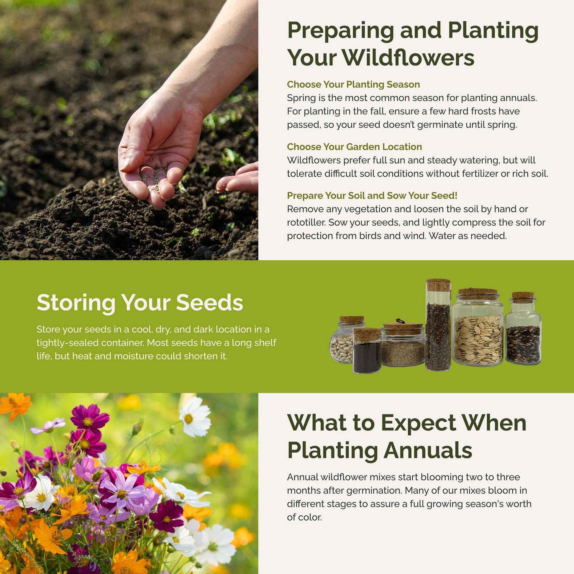 annual wildflower meadow seeds Bulk All Annual Wildflower Seed Mix 10 Pounds