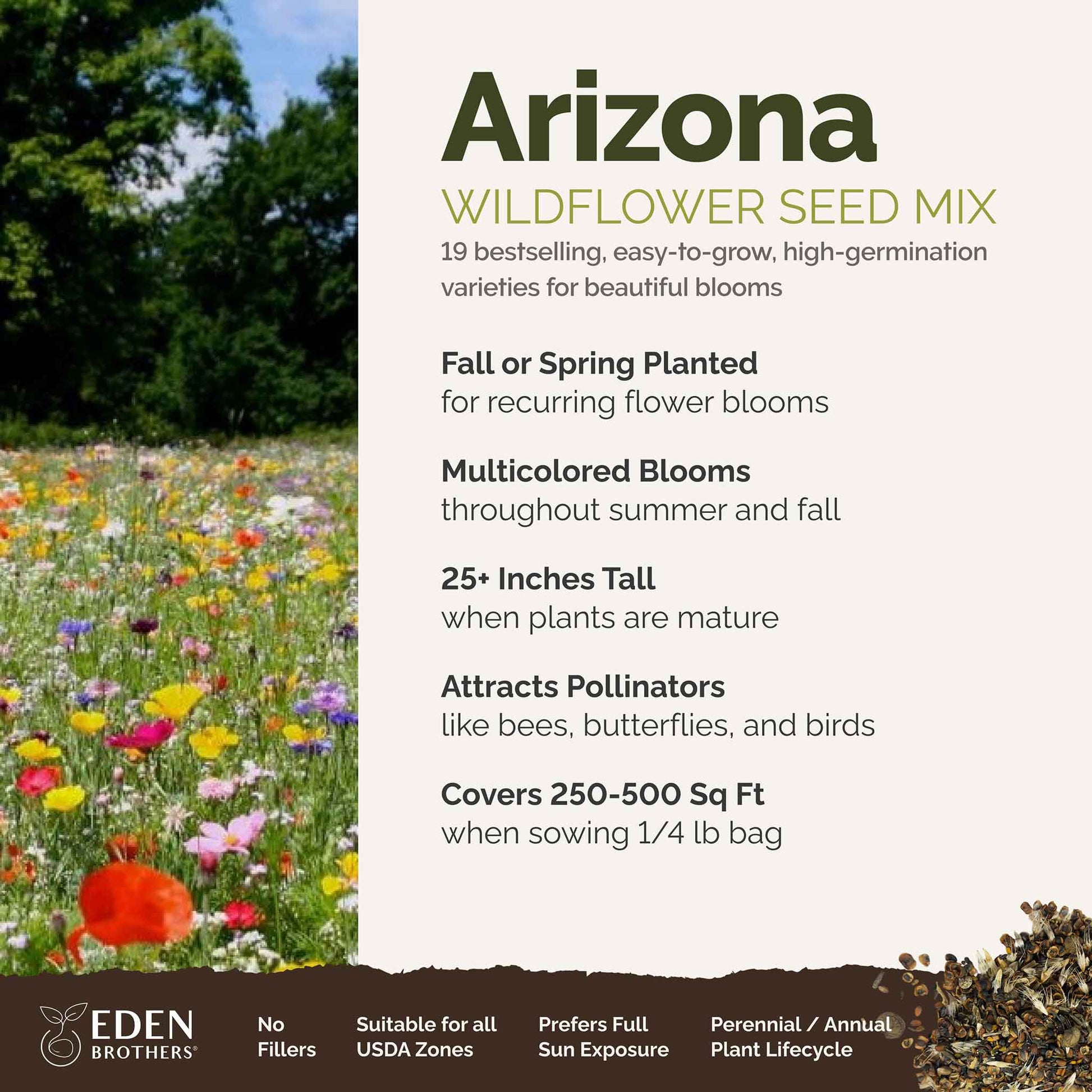 arizona wildflowers seeds Bulk Arizona Wildflower Seed Mix 1/4 Pound