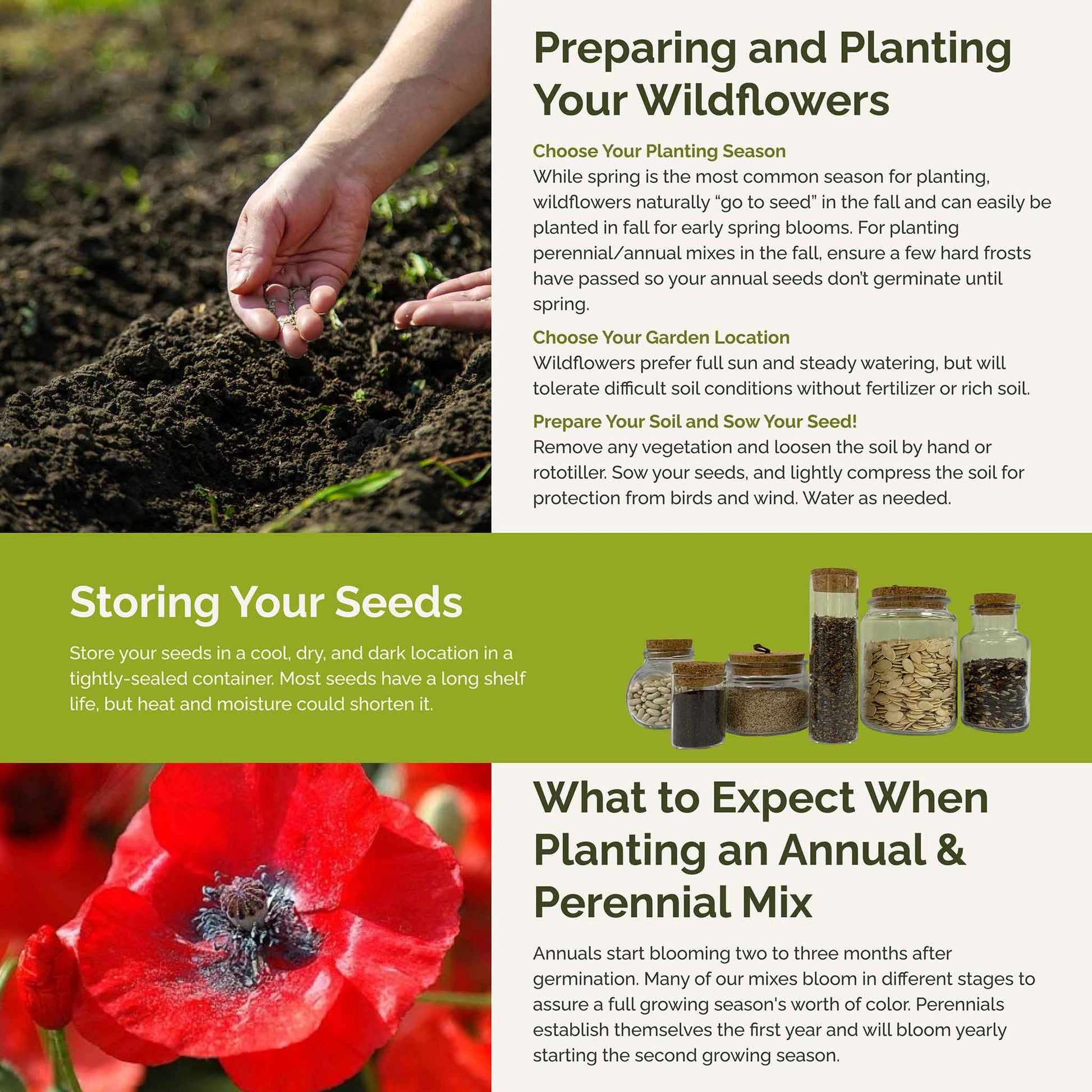 basic garden seeds Bulk Back to Basics Flower Seed Mix