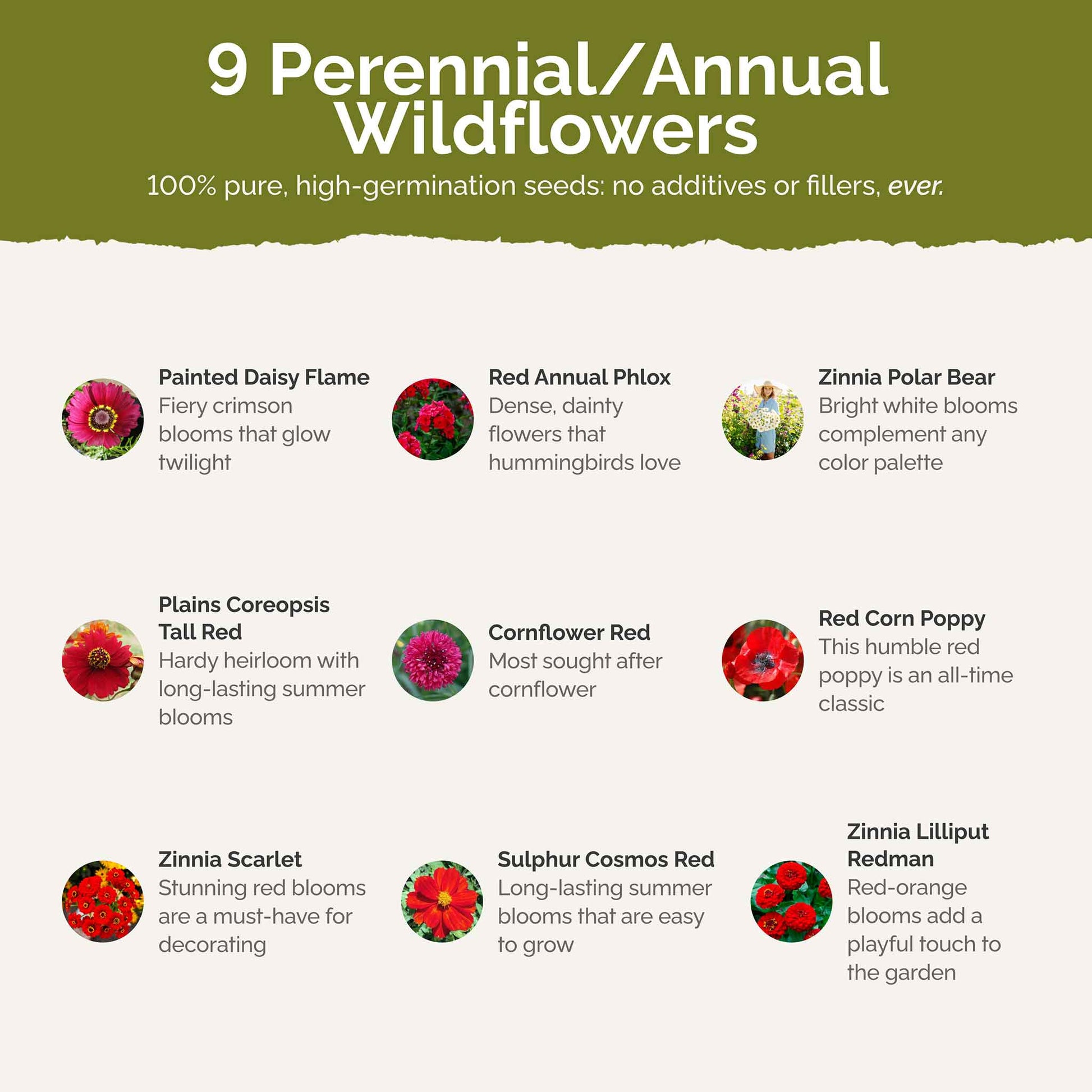 most popular flower seeds Bulk Red Flower Seed Mix