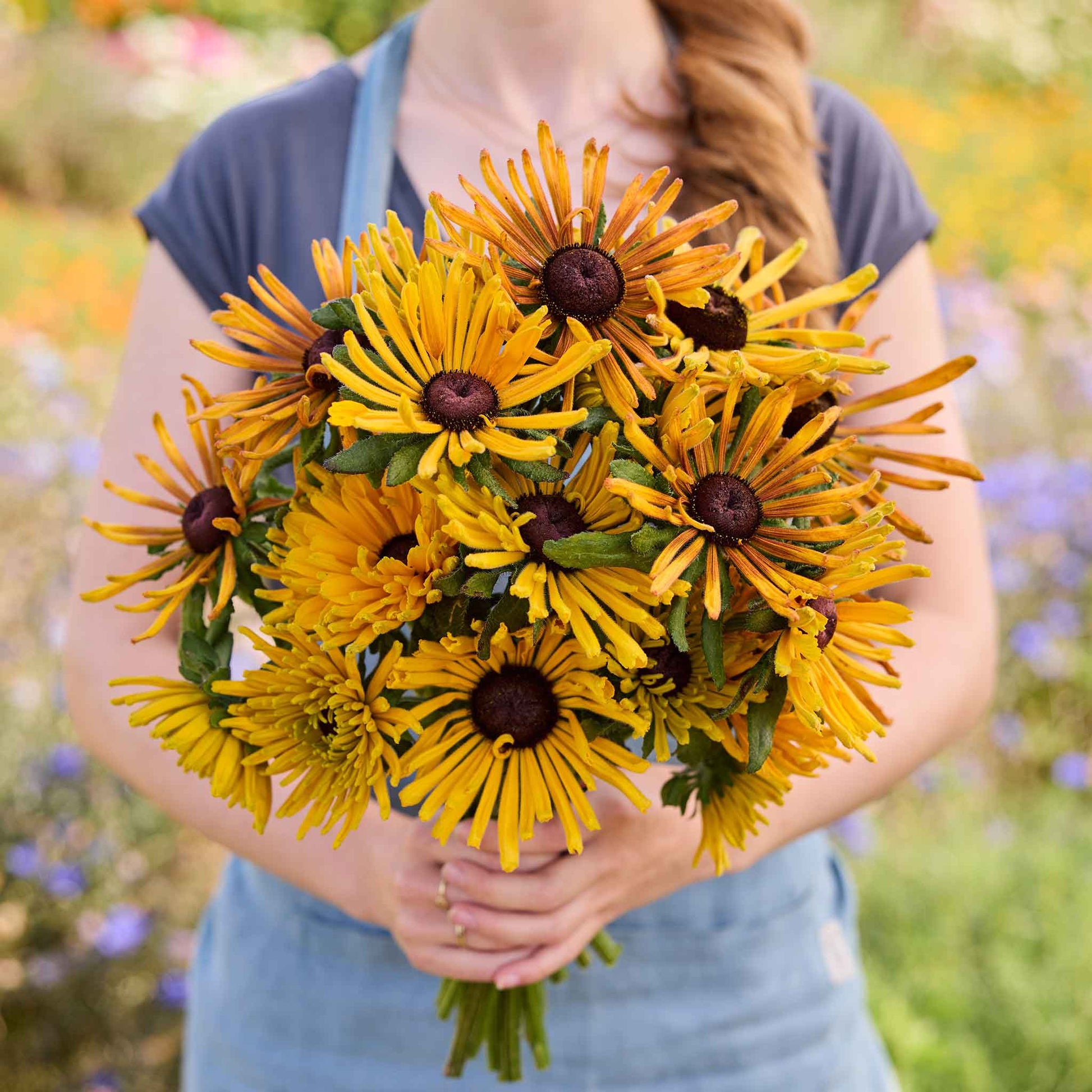 black wildflower seeds Bulk Black Eyed Susan Seeds - Chim Chiminee