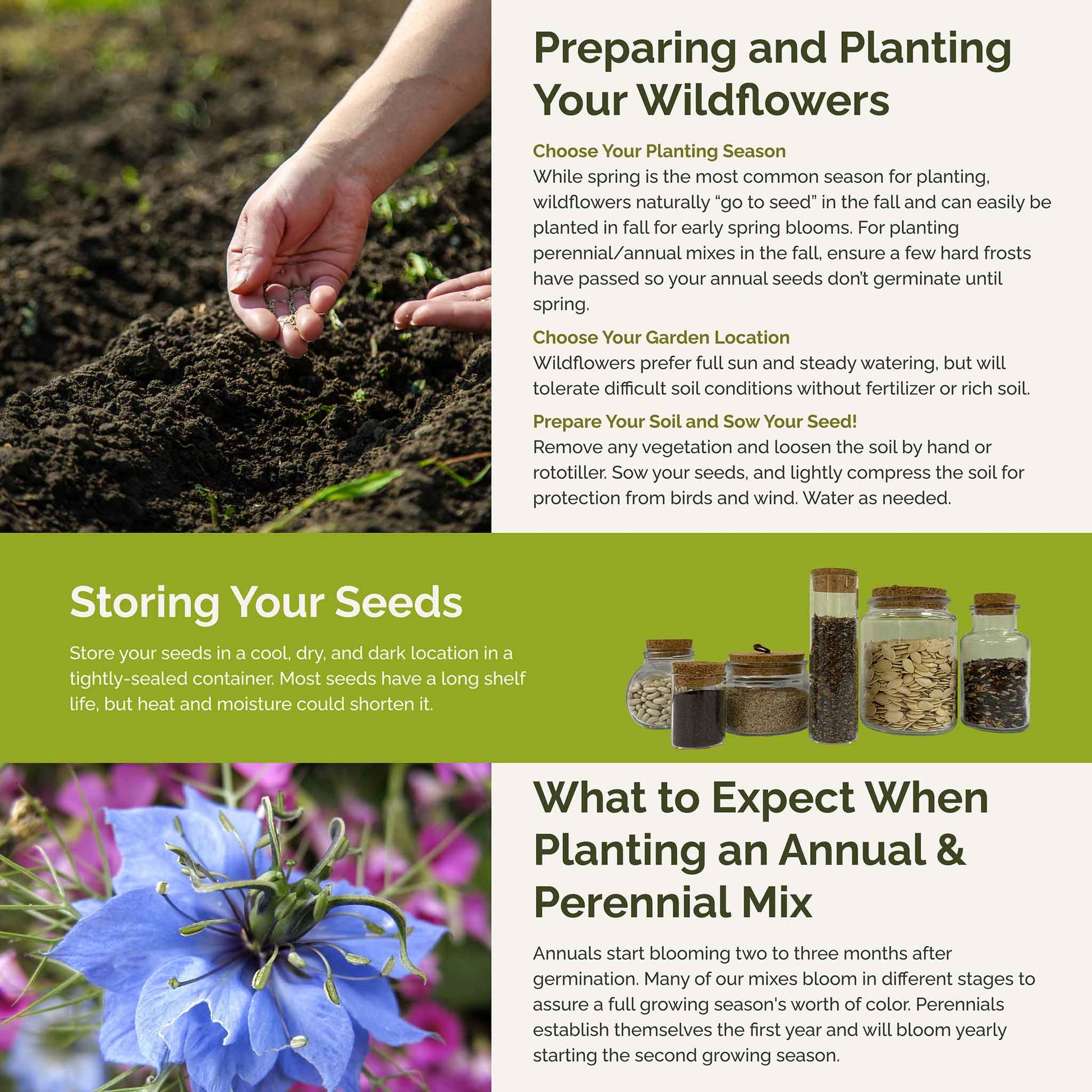 flower seed starter fertilizer Bulk Blue Flower Seed Mix