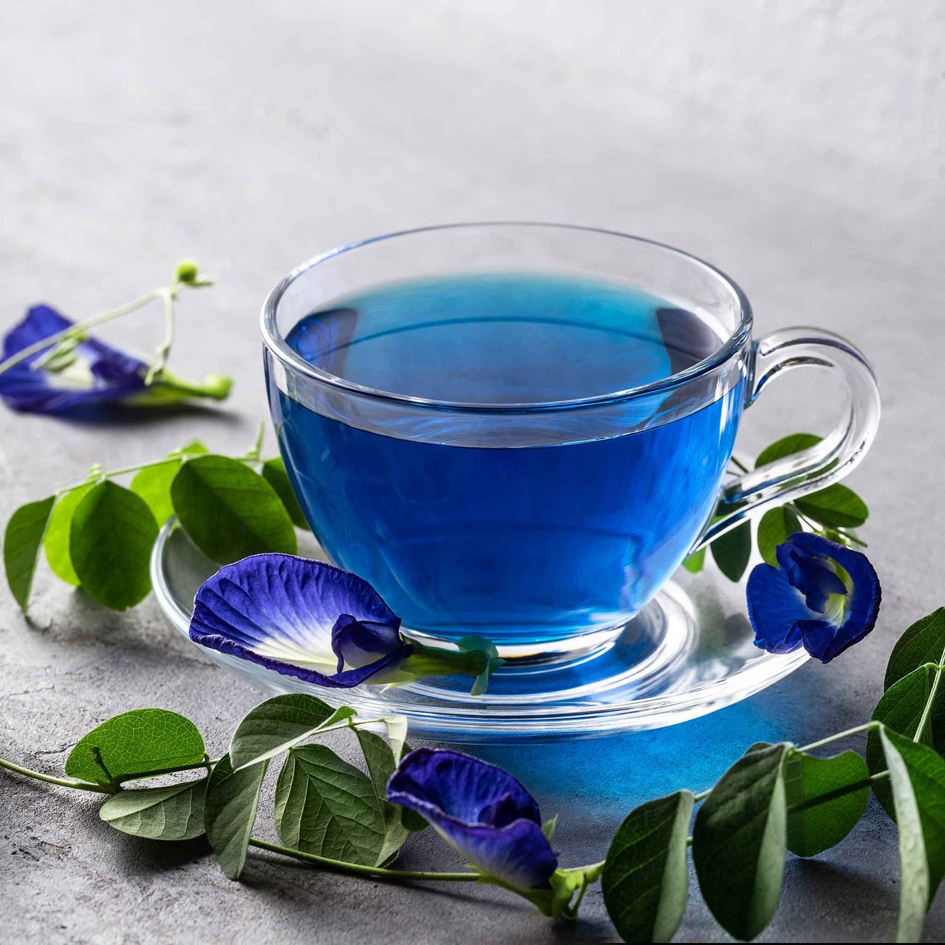 blue butterfly pea flower seeds Bulk Butterfly Pea Seeds - Blue | Flower Seeds