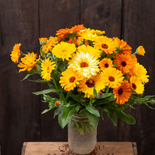 calendula organic pacific beauty mix