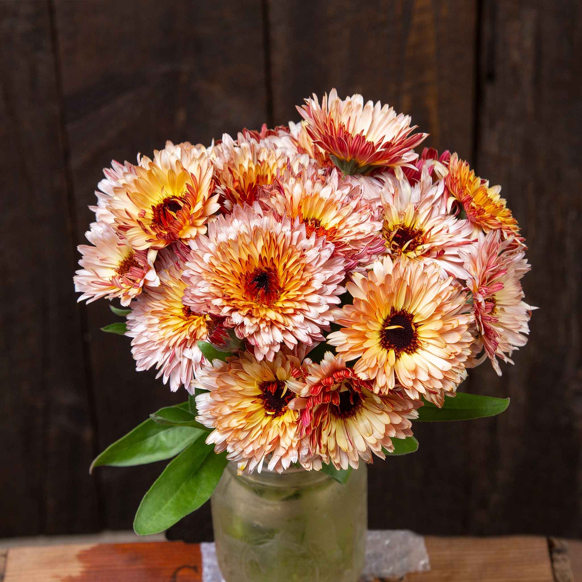 bulk strawberry seeds Bulk Calendula Seeds - Strawberry Blonde