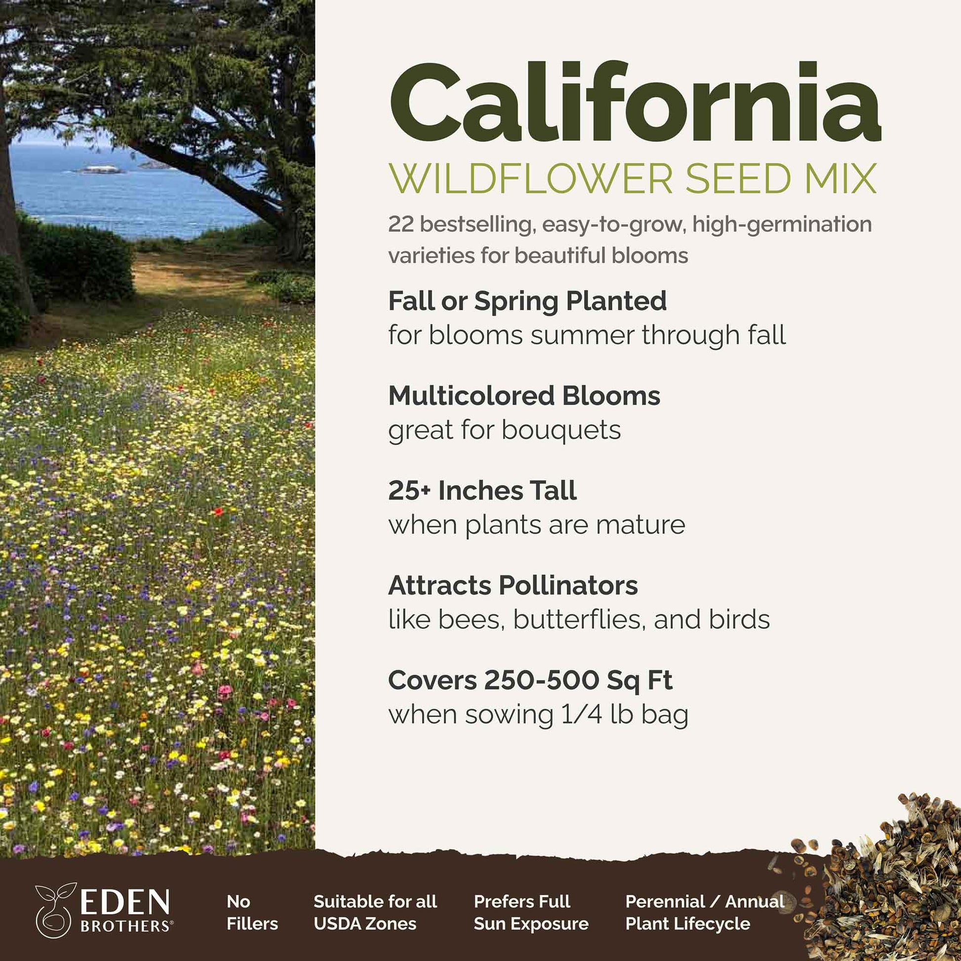 northern california wildflower seed mix Bulk Coastal California Wildflower Seed Mix 1 Pound