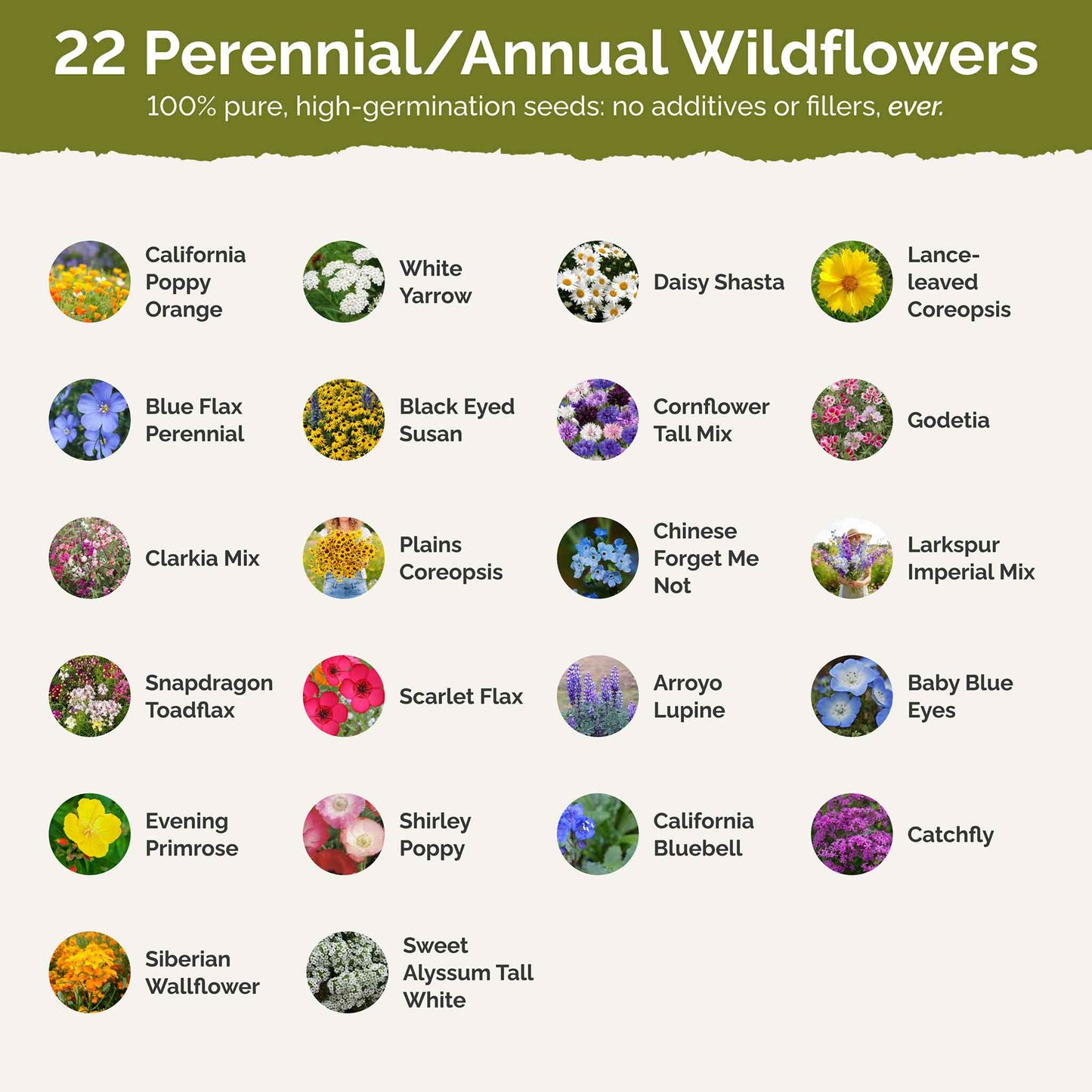 free california wildflower seeds Bulk Coastal California Wildflower Seed Mix 1 Pound