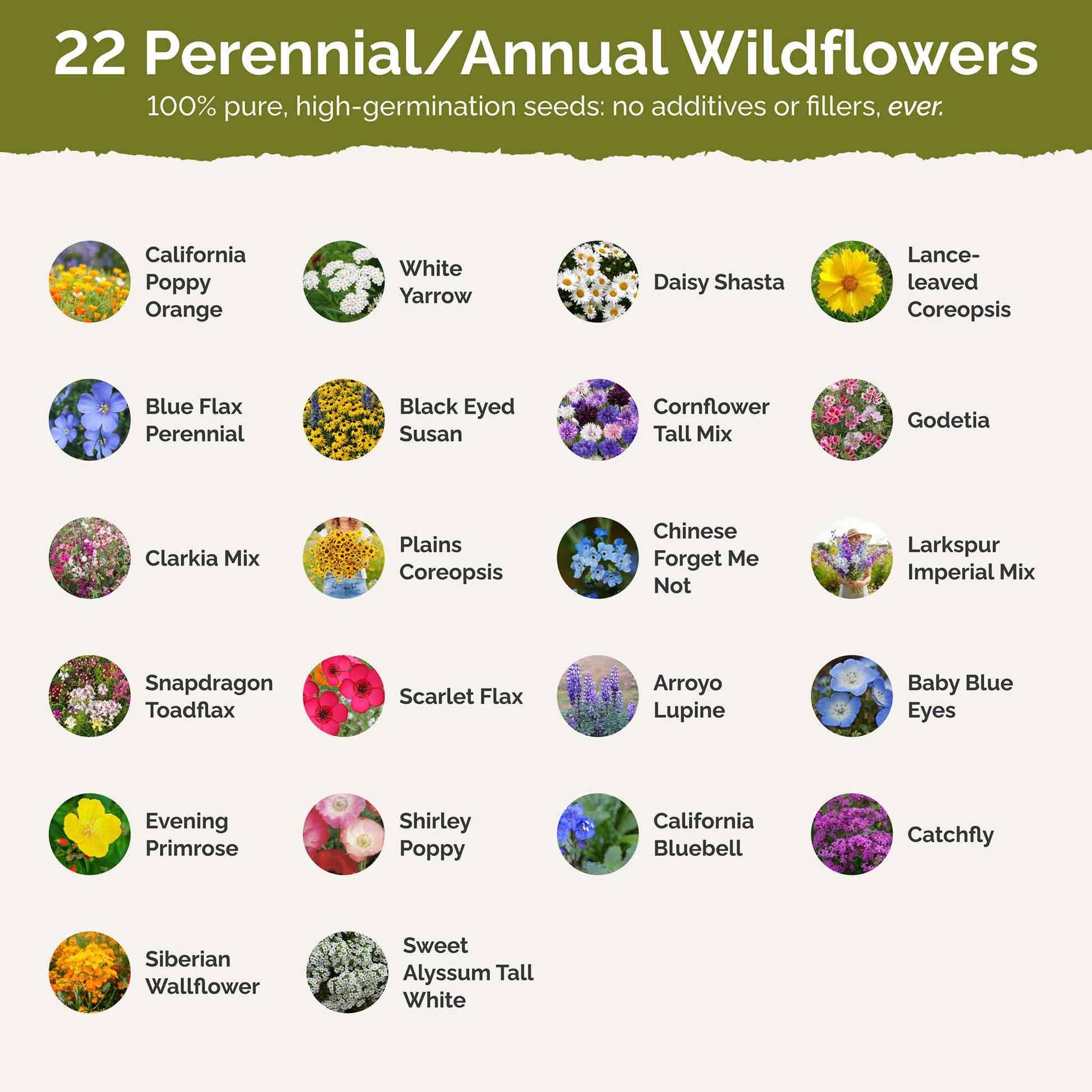 california native plant seeds for sale Bulk Coastal California Wildflower Seed Mix 1 Pound