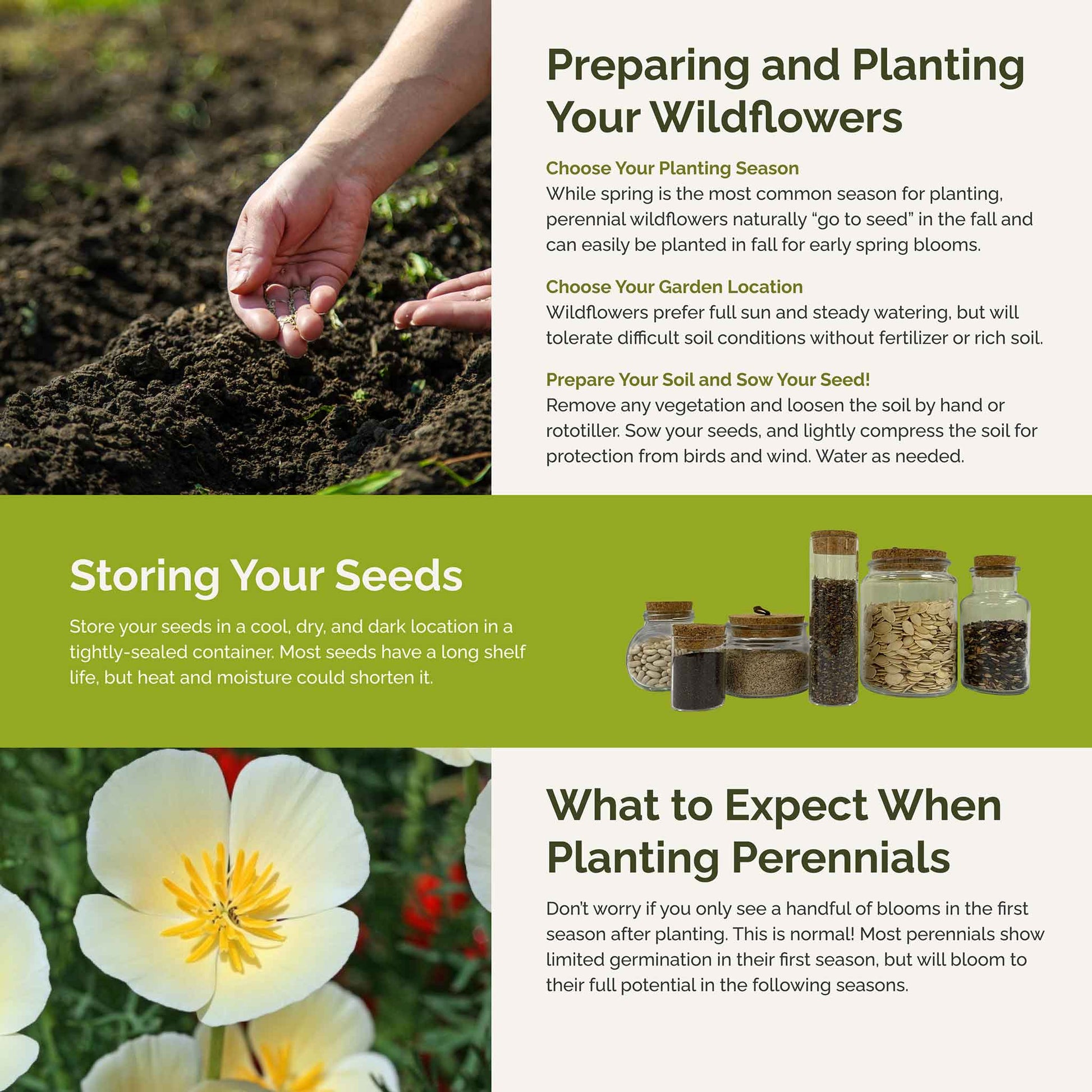 best time to plant poppy seeds in california Bulk California Poppy Flower Seed Mix