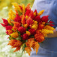 Person holding a vibrant bouquet of celosia feather sunny mix flowers with a blurred floral background.