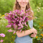Person holding a bouquet of celosia flamingo feather flowers in a field