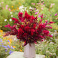 Bouquet of red forest fire celosia flowers in a white vase against a garden background