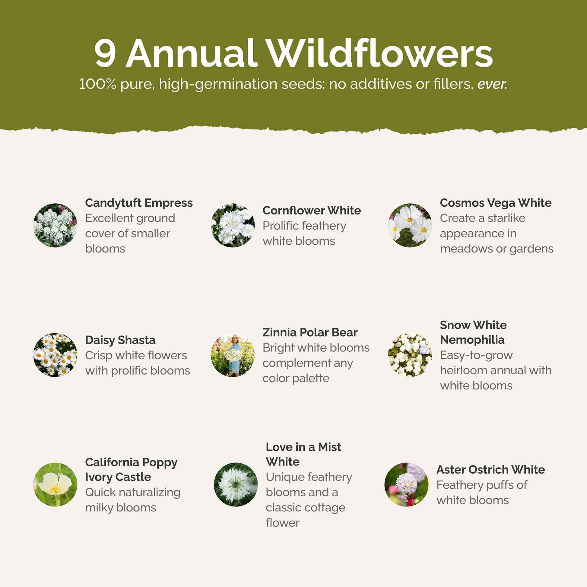 white wildflower seed mix Bulk White Flower Seed Mix