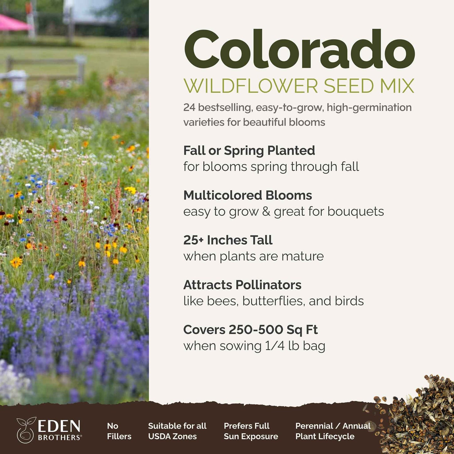 colorado wildflower seeds Bulk Colorado Wildflower Seed Mix 1 Ounce