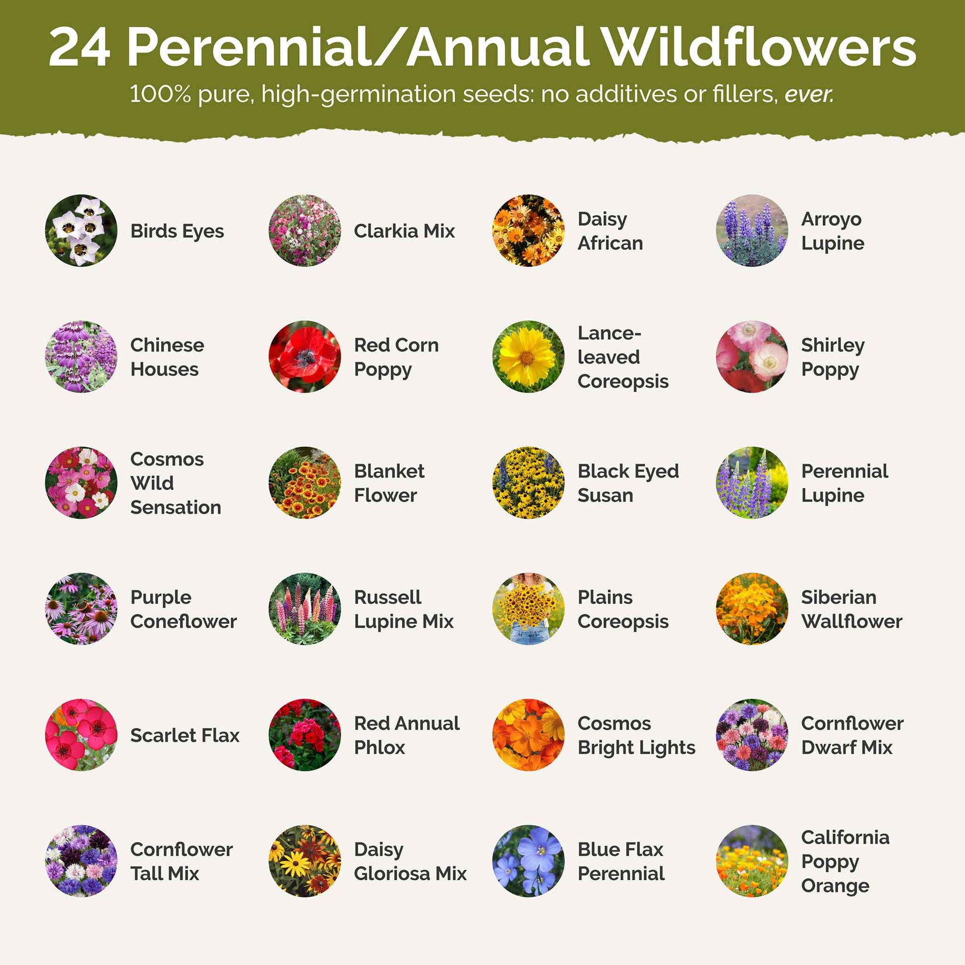 best quality wildflower seeds Bulk Colorado Wildflower Seed Mix 1 Ounce